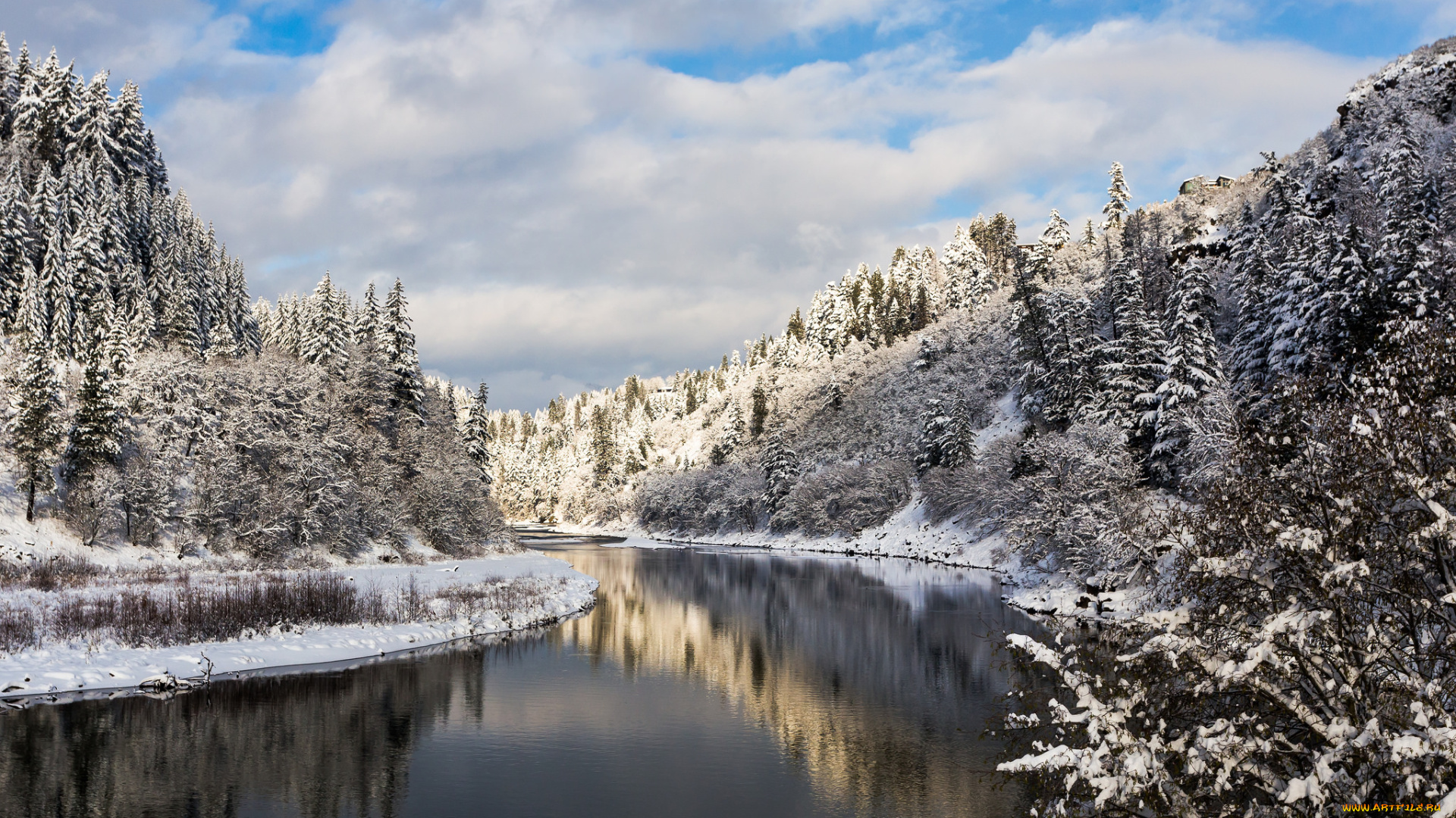 природа, реки, озера, река, лес