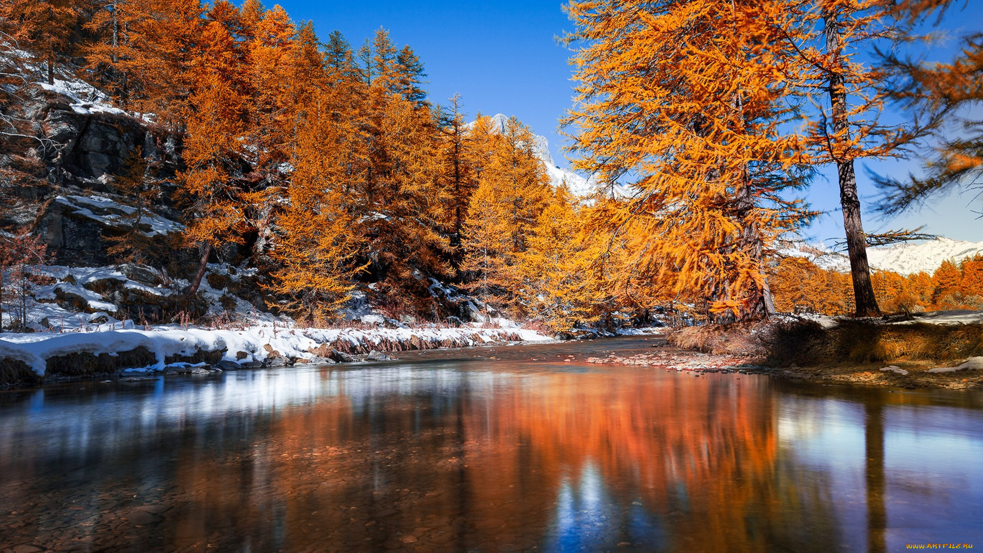 природа, реки, озера, река, лес