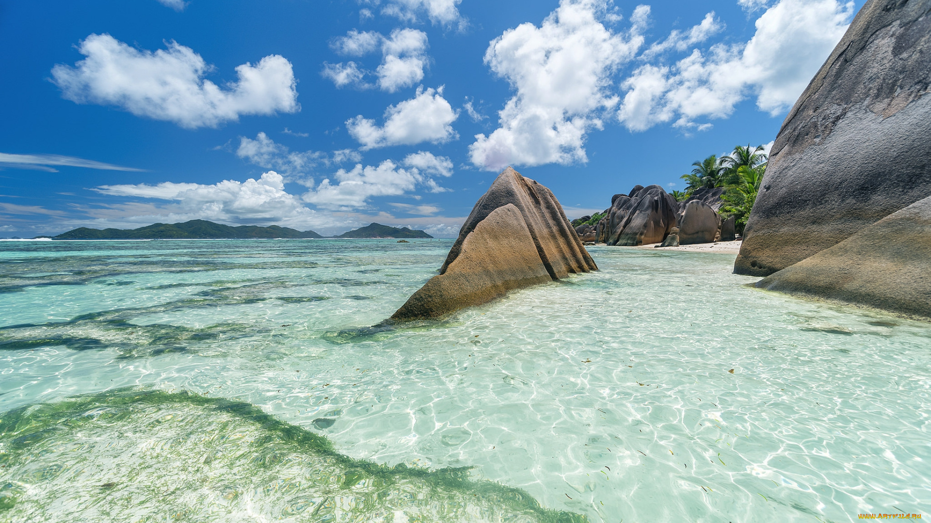 природа, тропики, простор