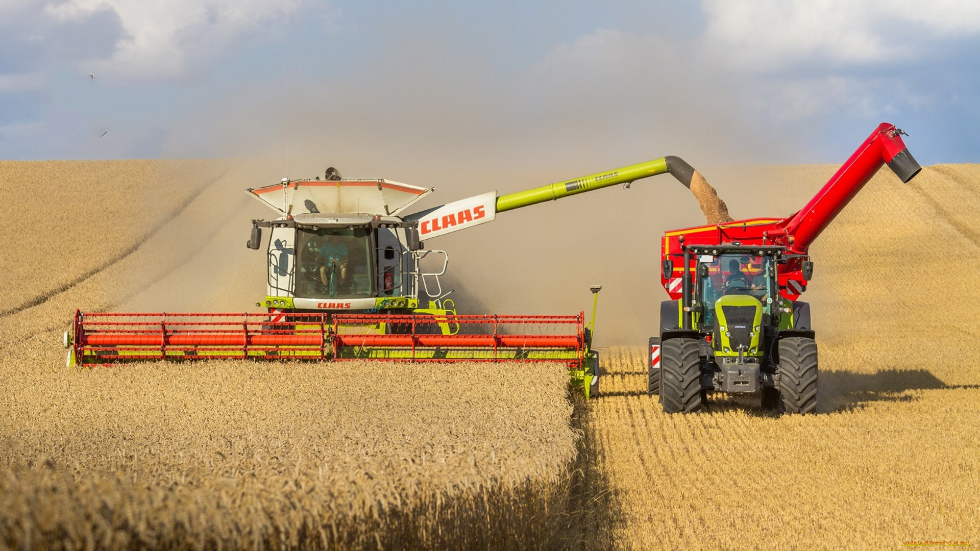 техника, комбайны, сельхоз, работы