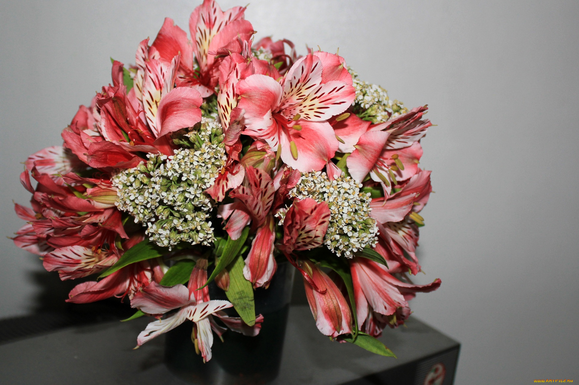 цветы, букеты, , композиции, альстромерия