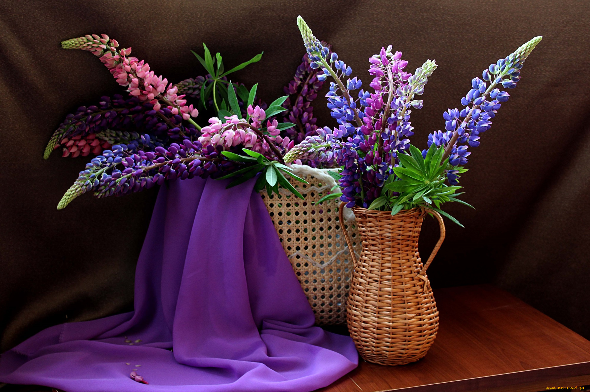 цветы, люпин, люпины, натюрморт, лето