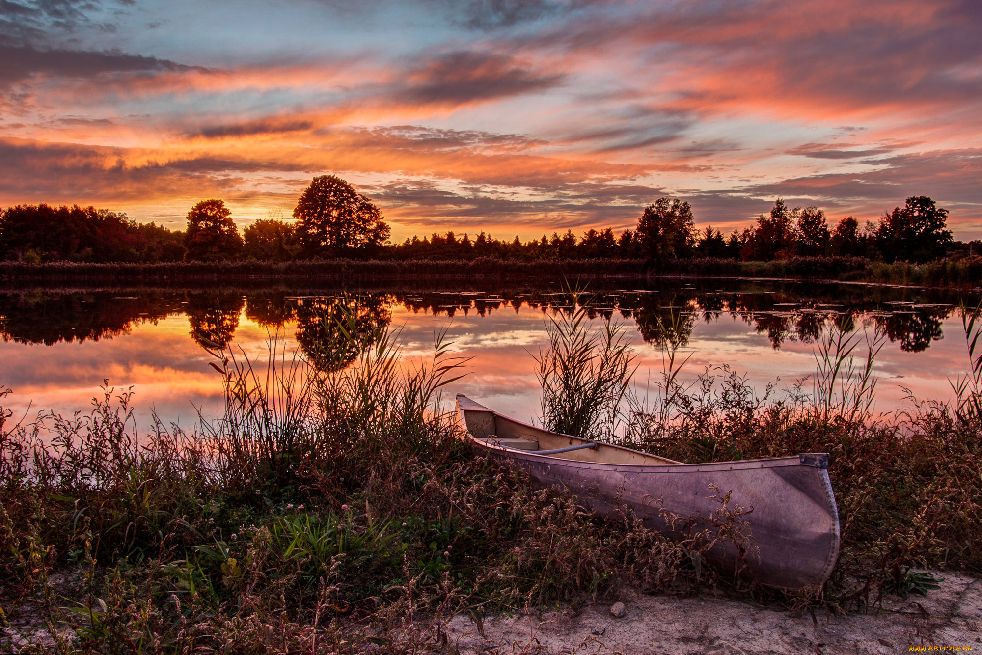 корабли, лодки, , шлюпки, река, лес
