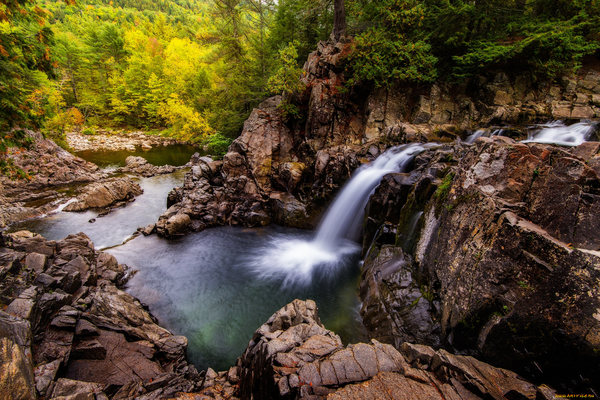 природа, водопады, лес, водопад, река