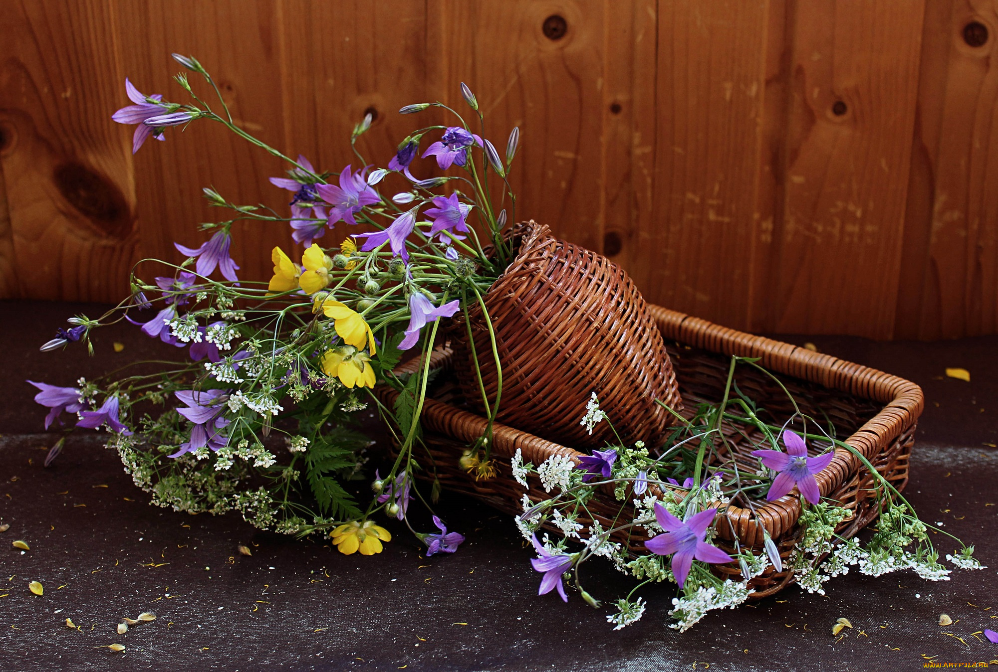цветы, луговые, , полевые, , цветы, натюрморт, лютики, сныть, растения, колокольчики