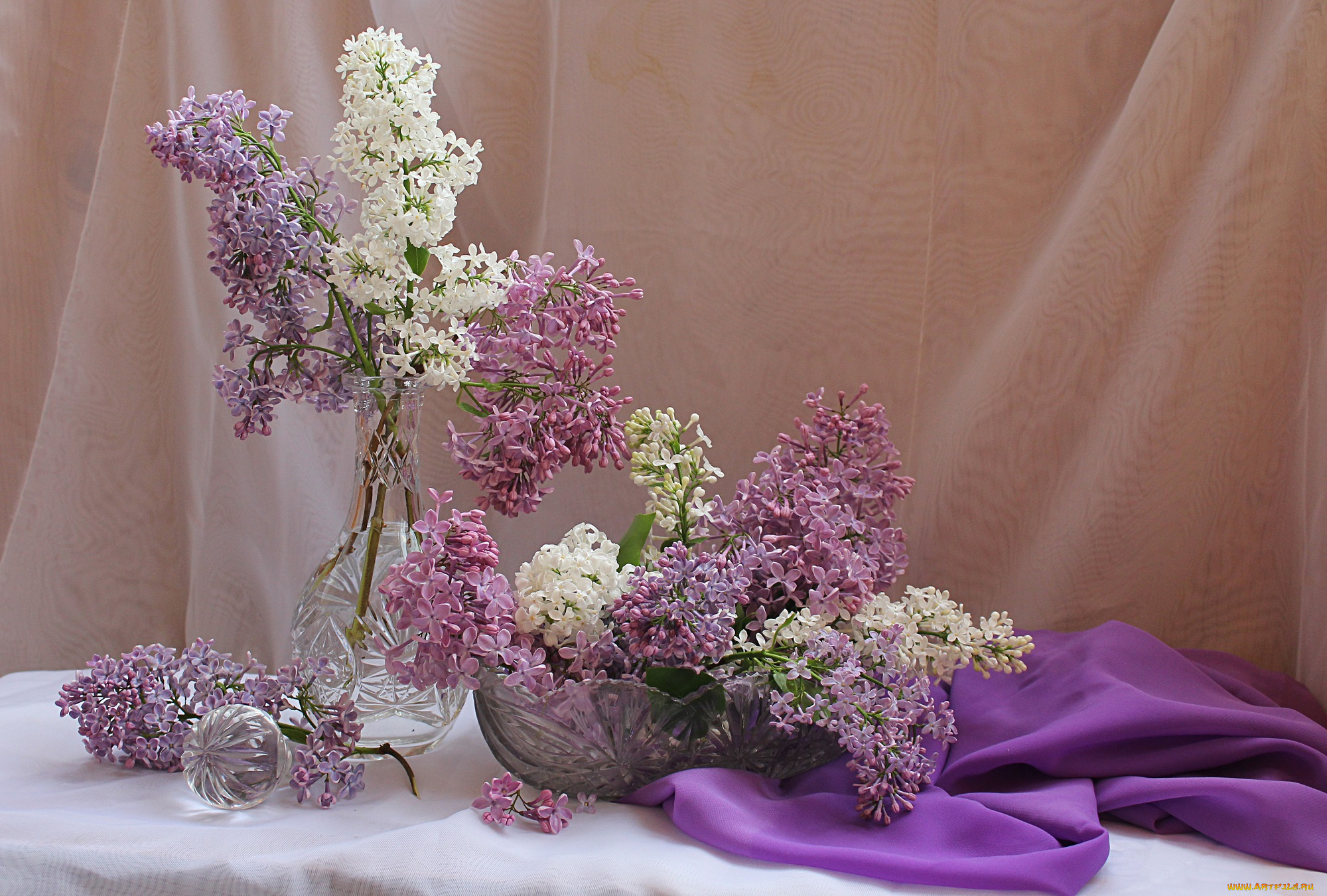 цветы, сирень, весна, натюрморт