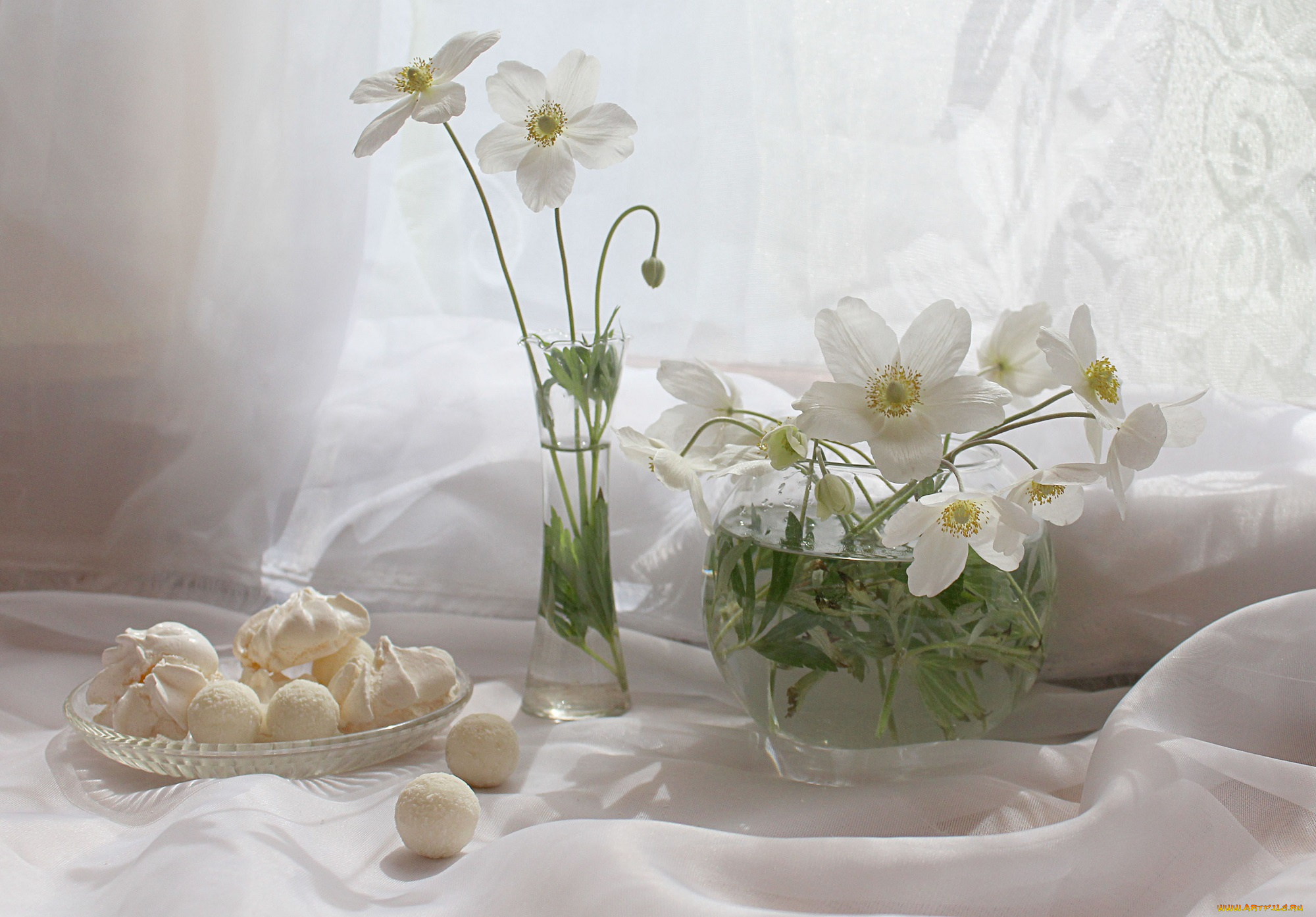 еда, конфеты, , шоколад, , сладости, натюрморт, анемоны, цветы, сладости, растения