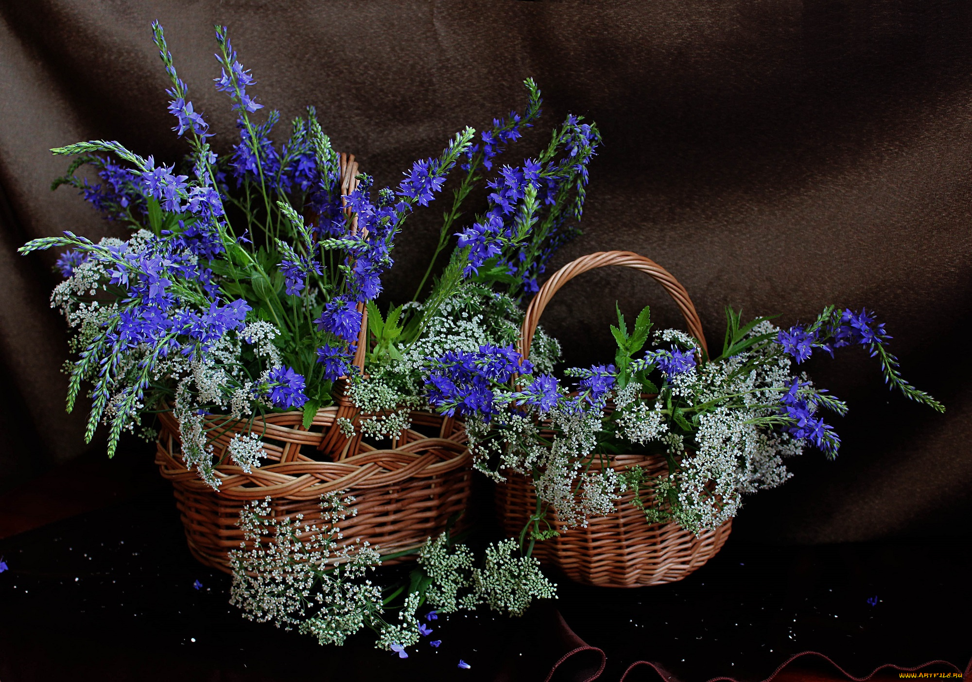 цветы, луговые, , полевые, , цветы, сныть, лето, натюрморт, корзина, вероника, длиннолистная