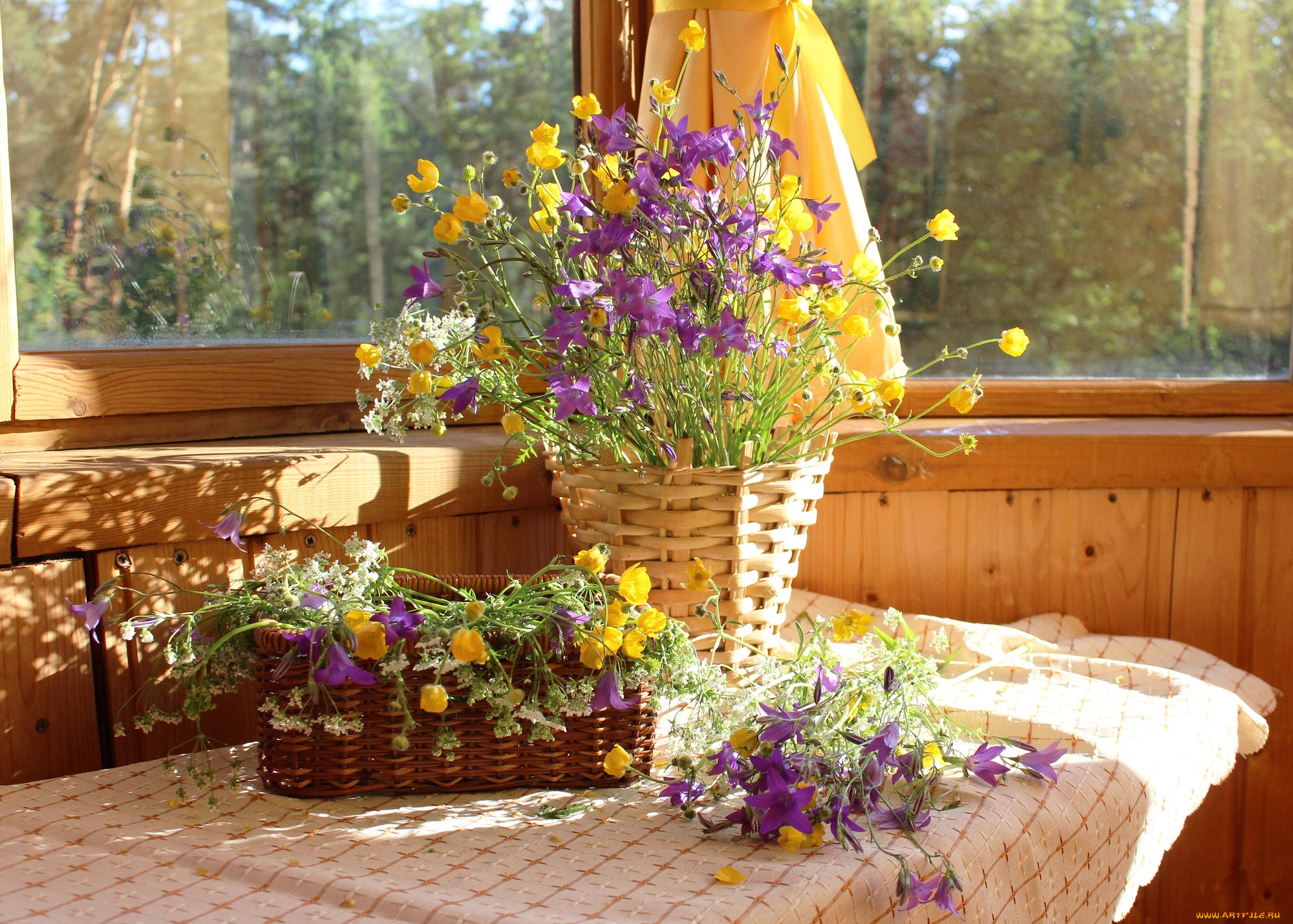 цветы, луговые, , полевые, , цветы, сныть, натюрморт, лютики, лето, колокольчики