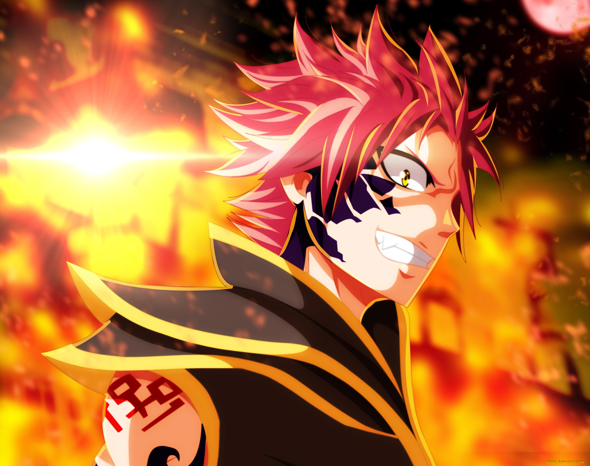 аниме, fairy, tail, хвост, феи