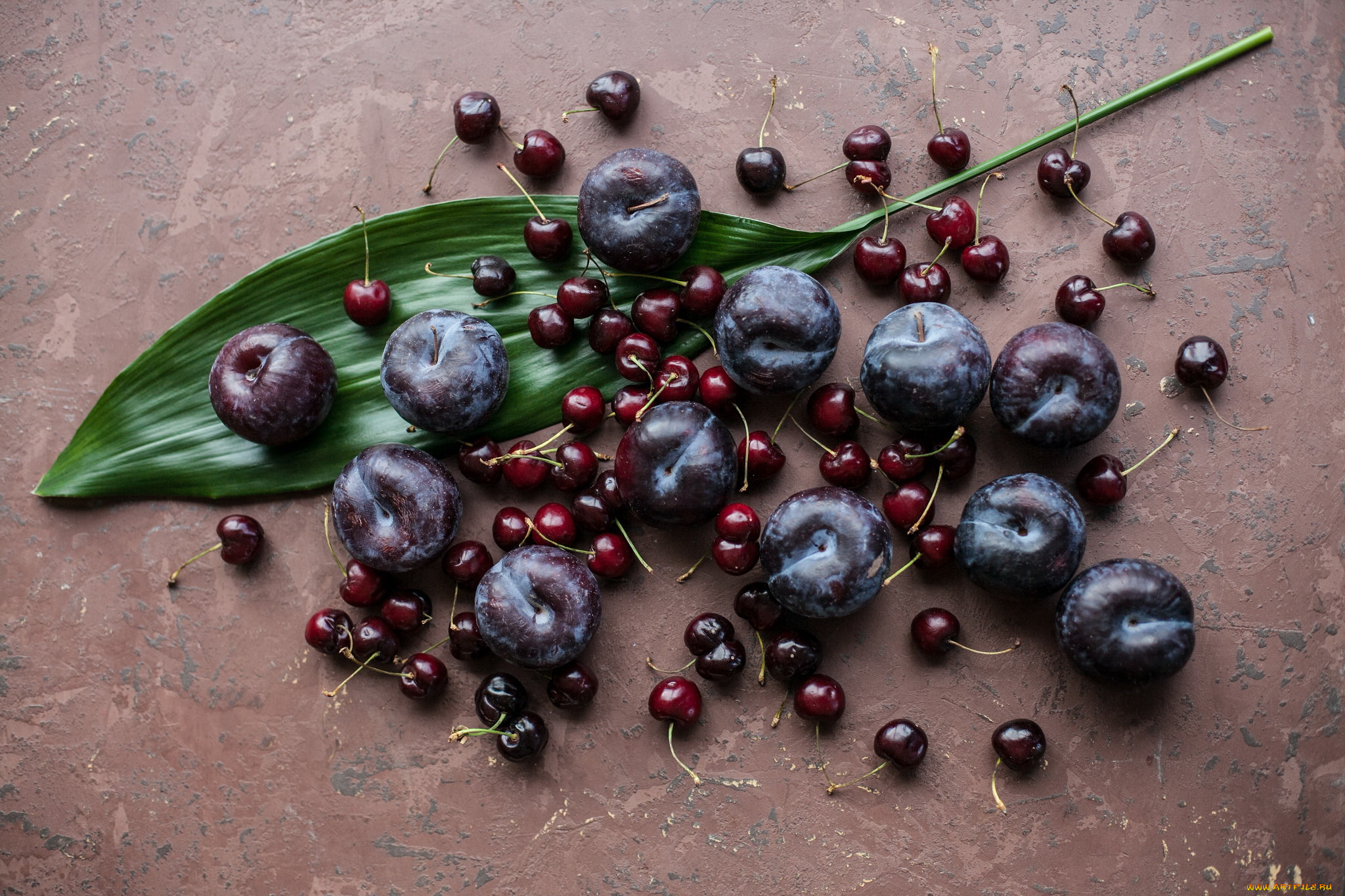 еда, фрукты, , ягоды, слива, вишня, ягоды, лист