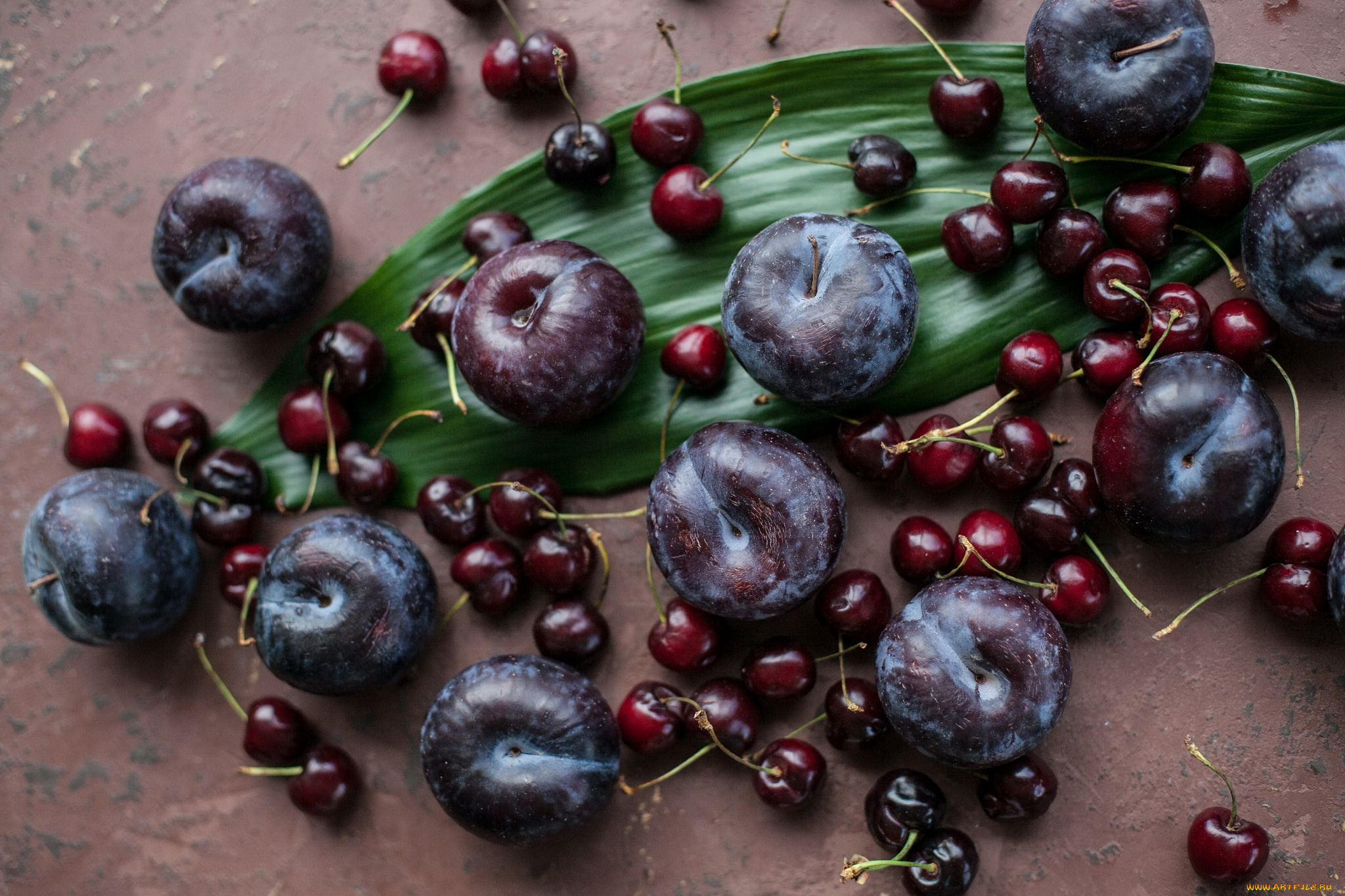 еда, фрукты, , ягоды, слива, вишня, ягоды, лист