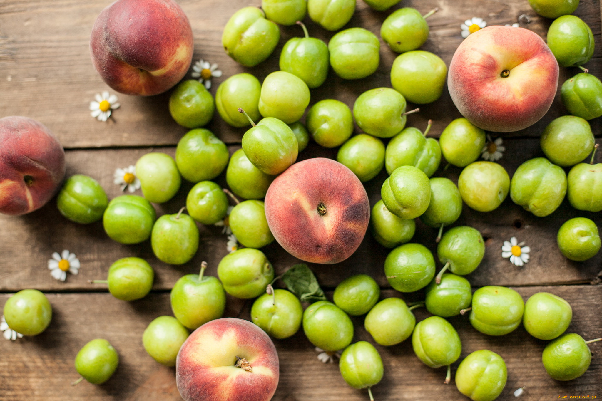 еда, персики, , сливы, , абрикосы, слива, персик, фрукты