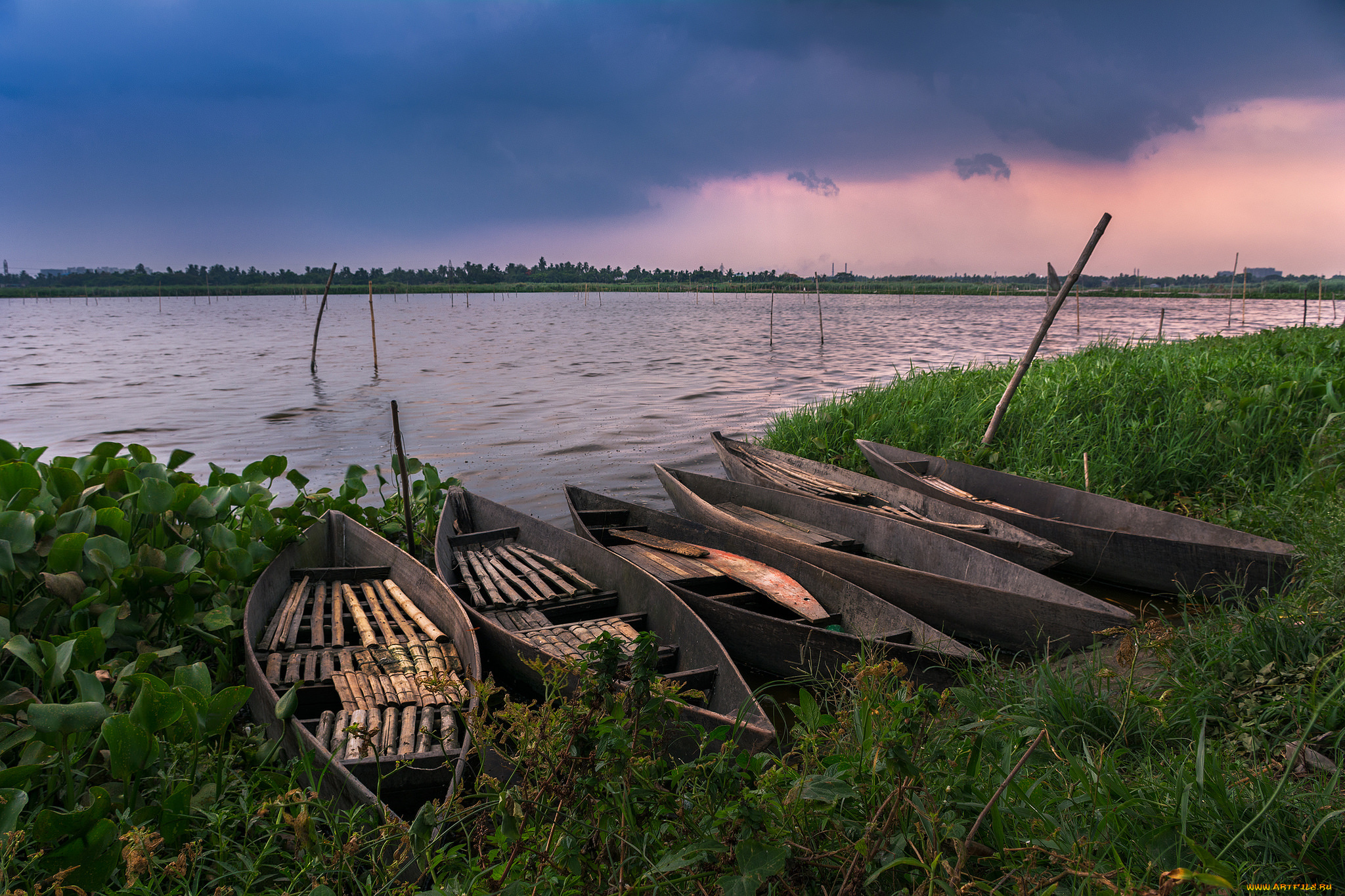 корабли, лодки, , шлюпки, река, лес
