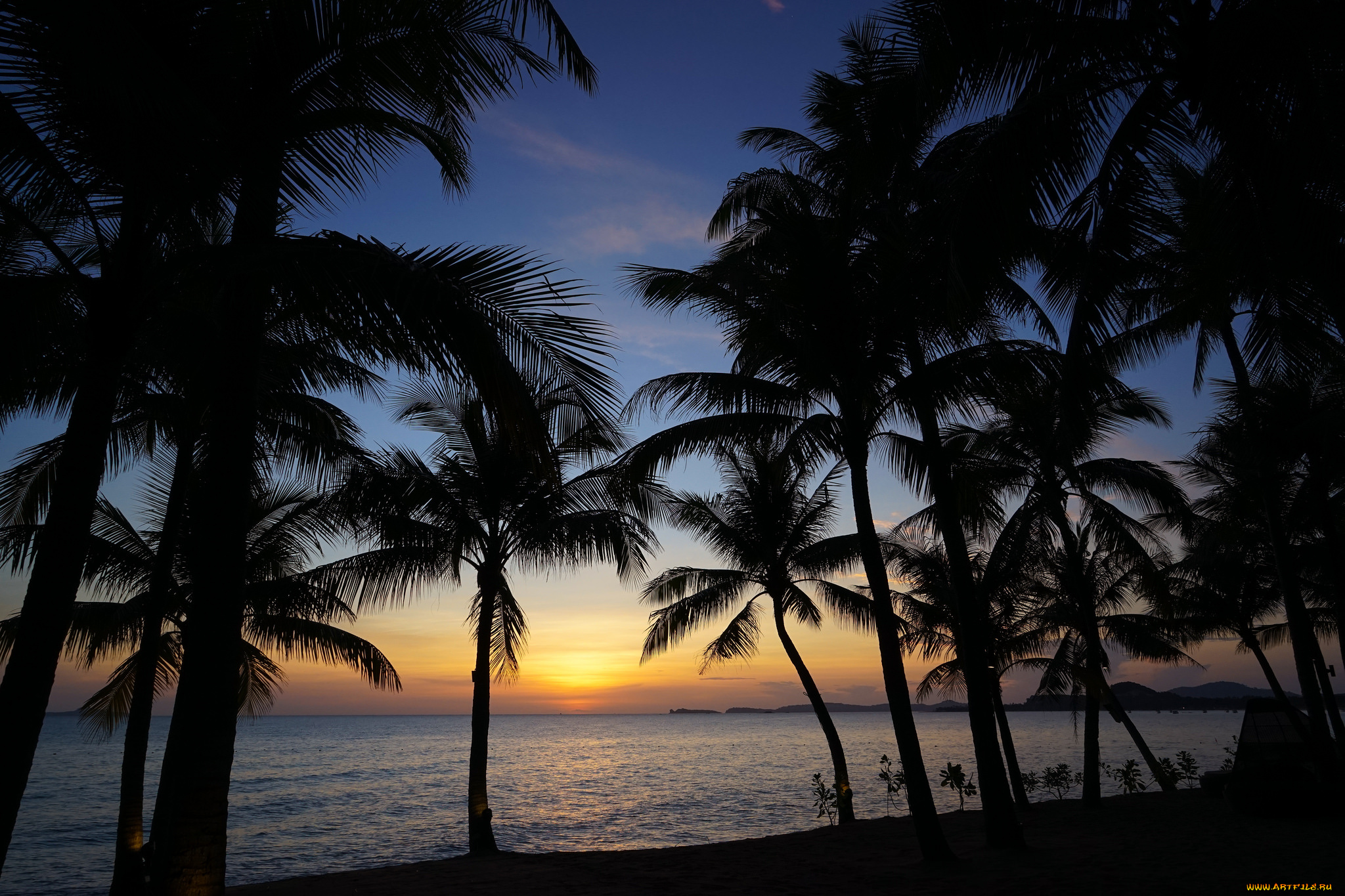 природа, тропики, простор