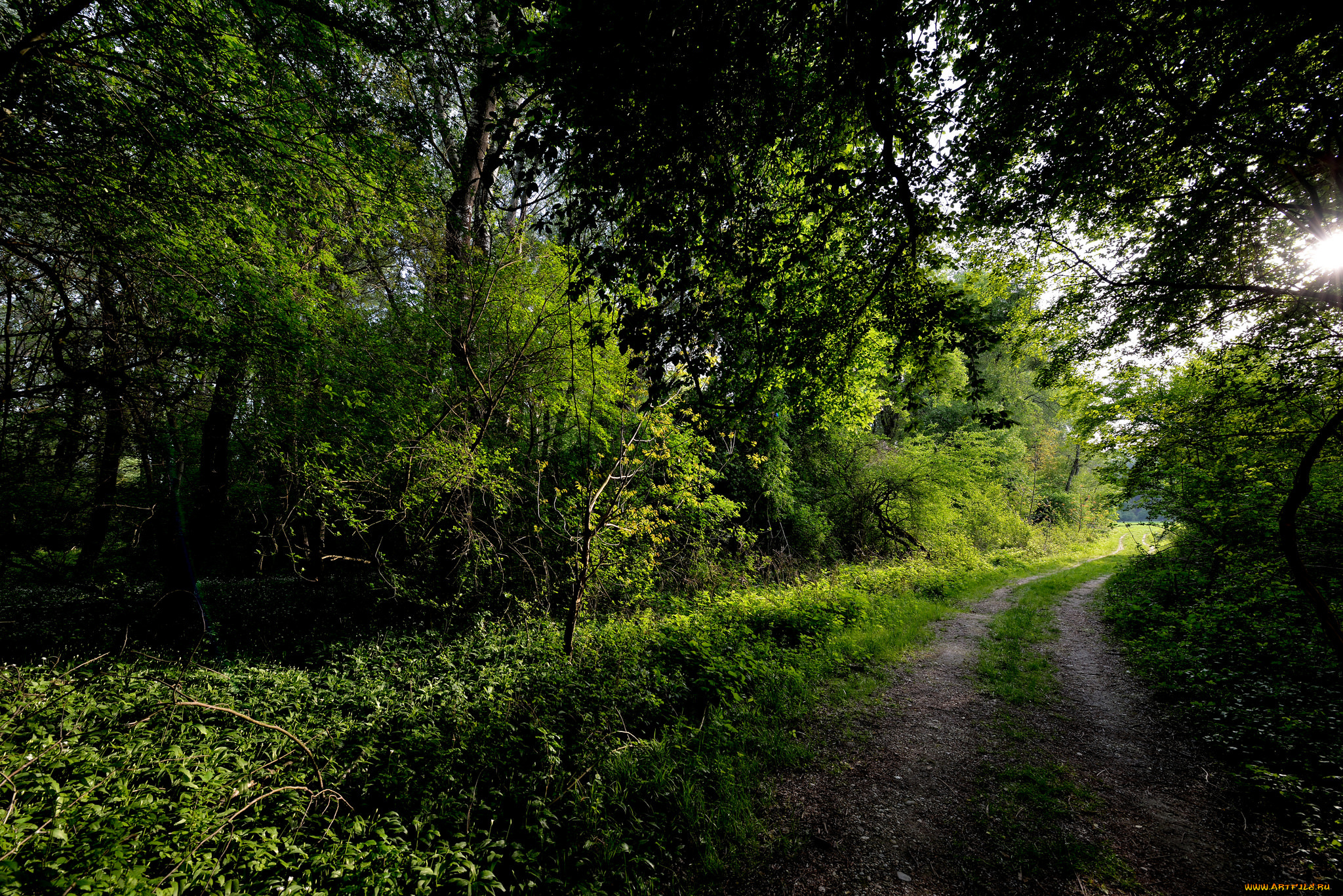 природа, дороги, тракт