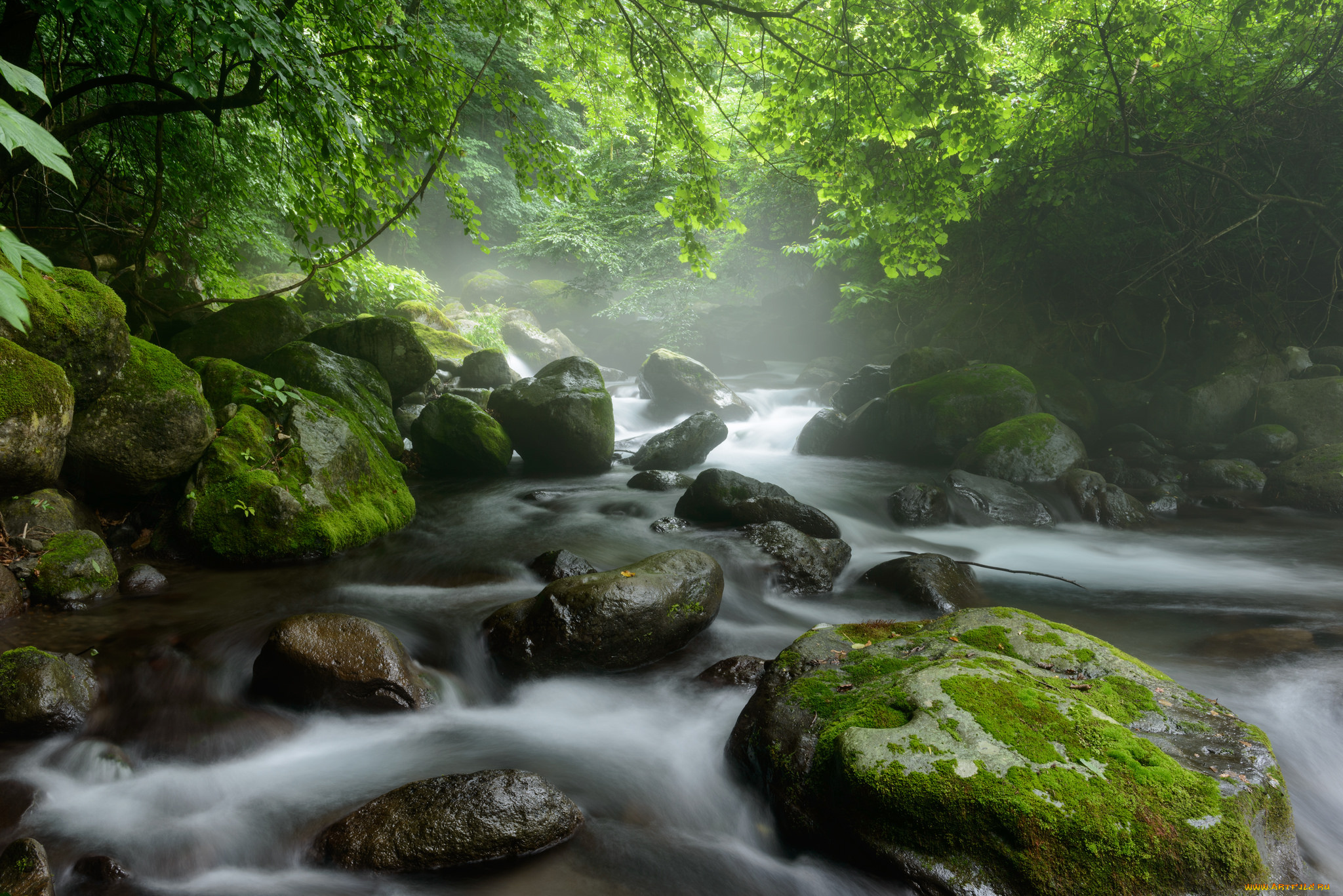 природа, реки, озера, деревья, лес, поток, вода, река