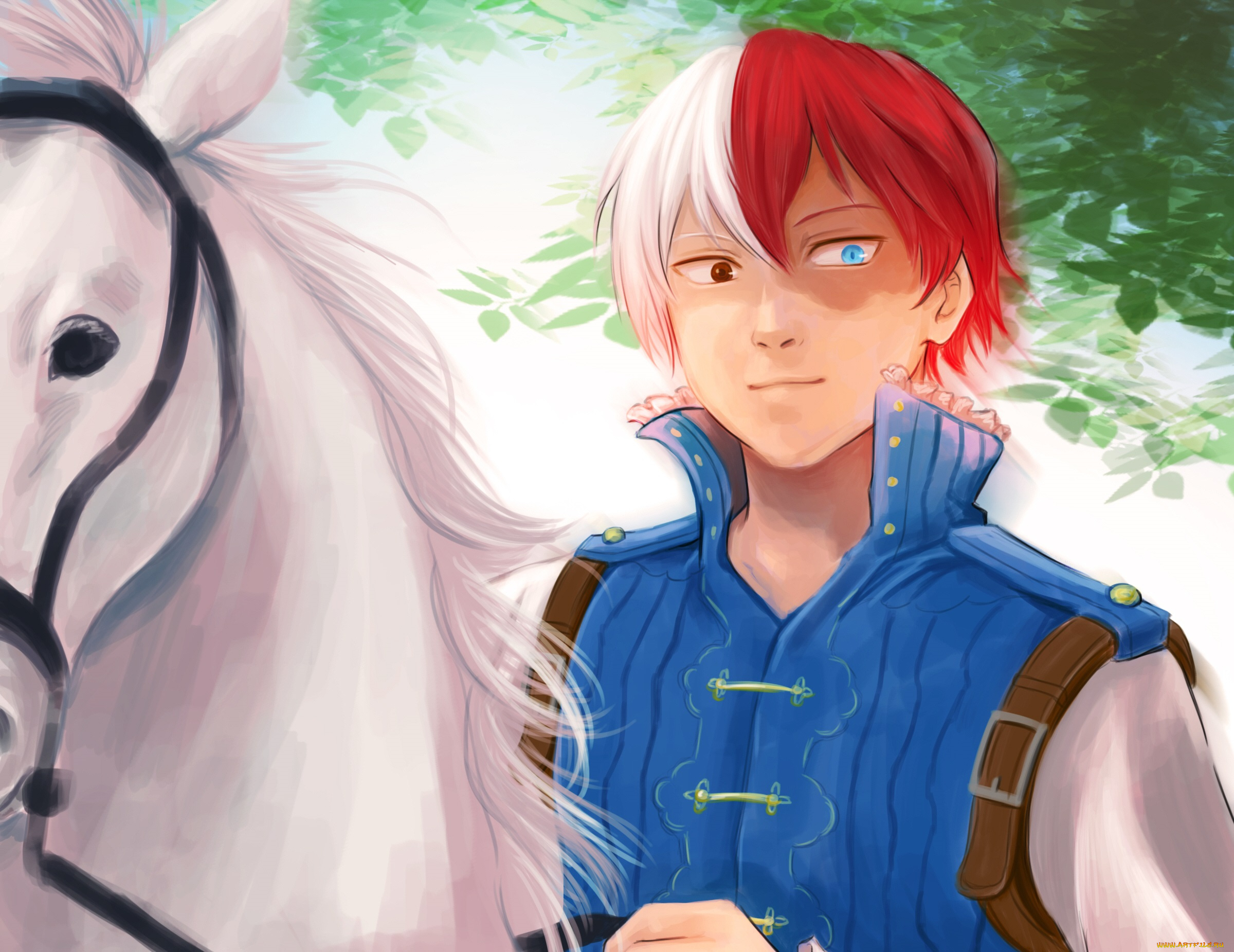 аниме, boku, no, hero, academia, шото