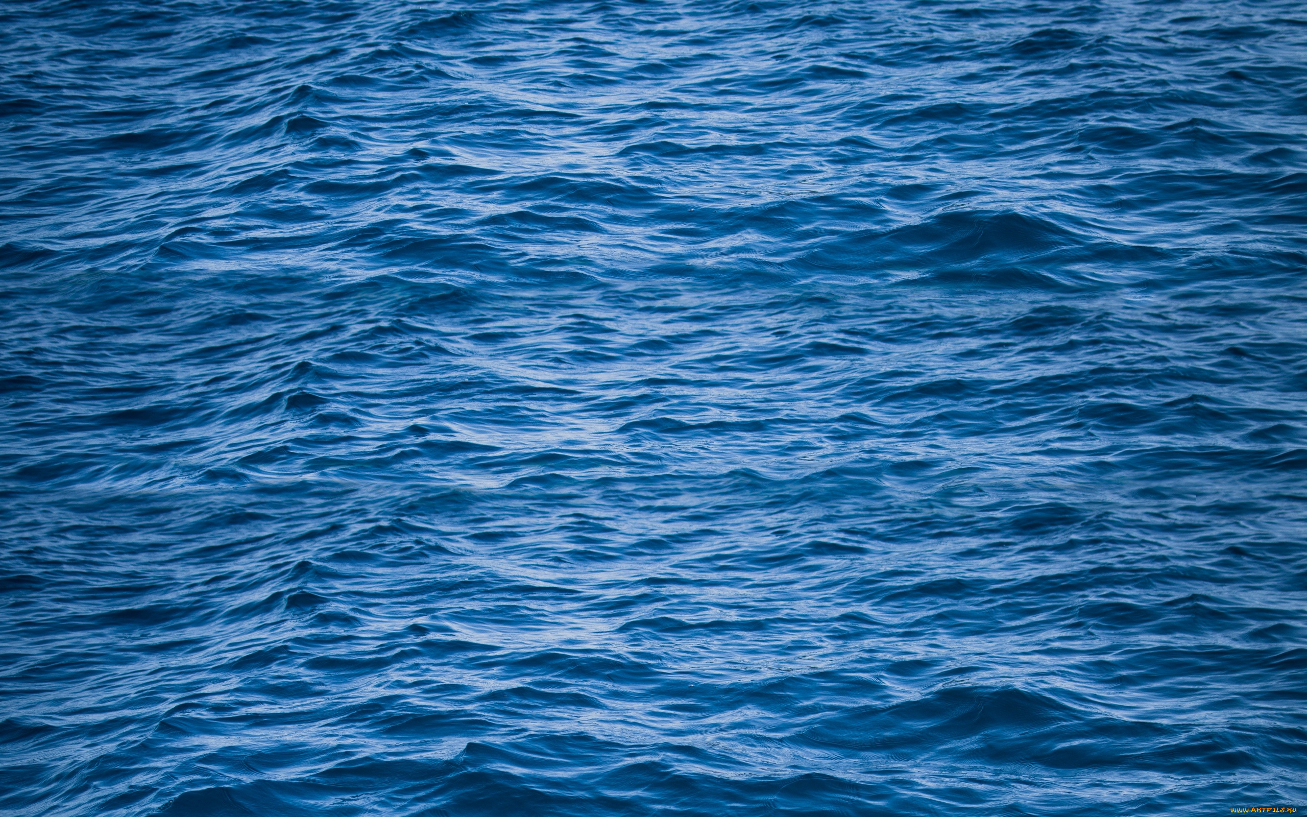 природа, моря, океаны, вода