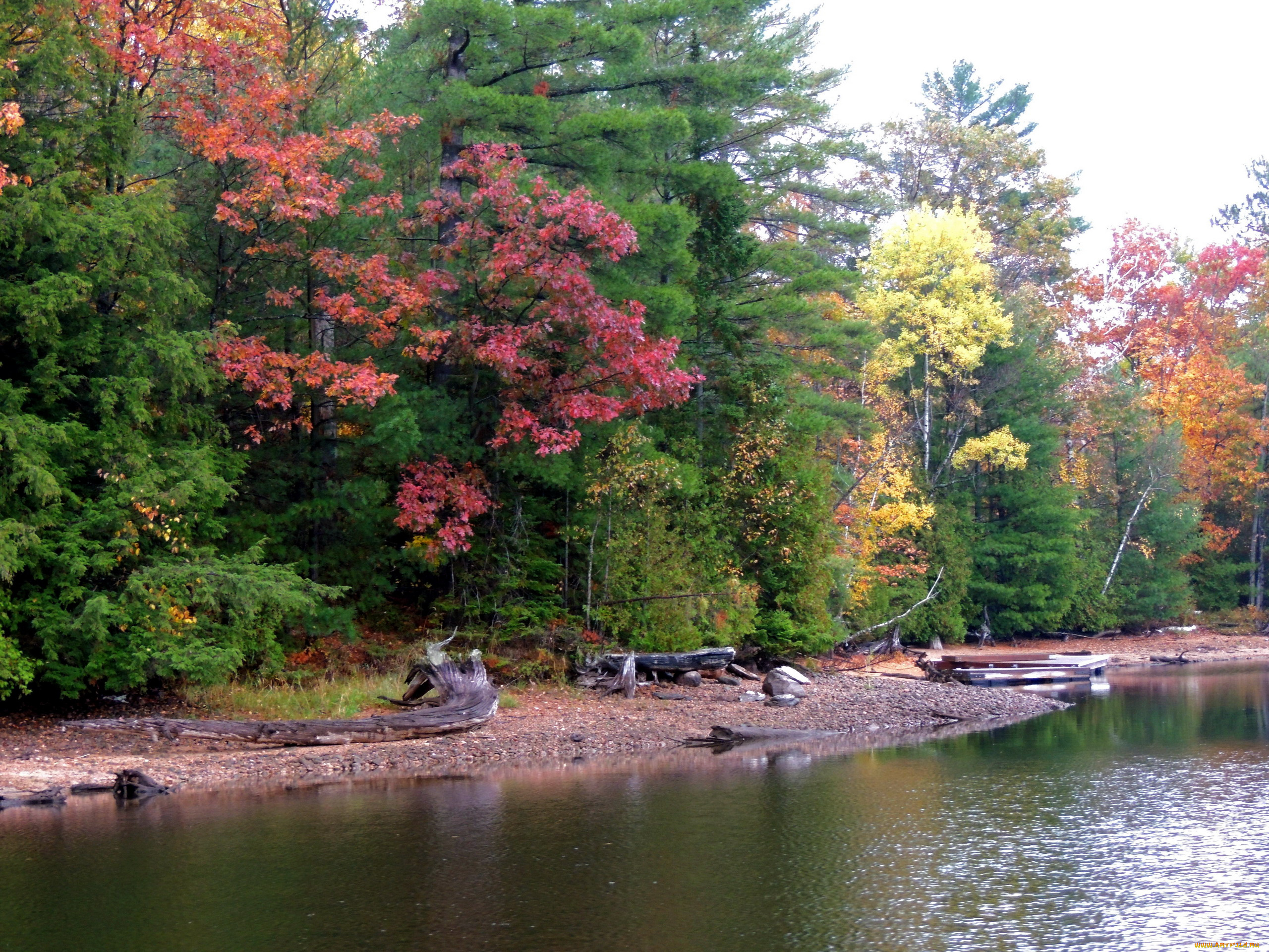 природа, реки, озера, деревья, осень, река, вода