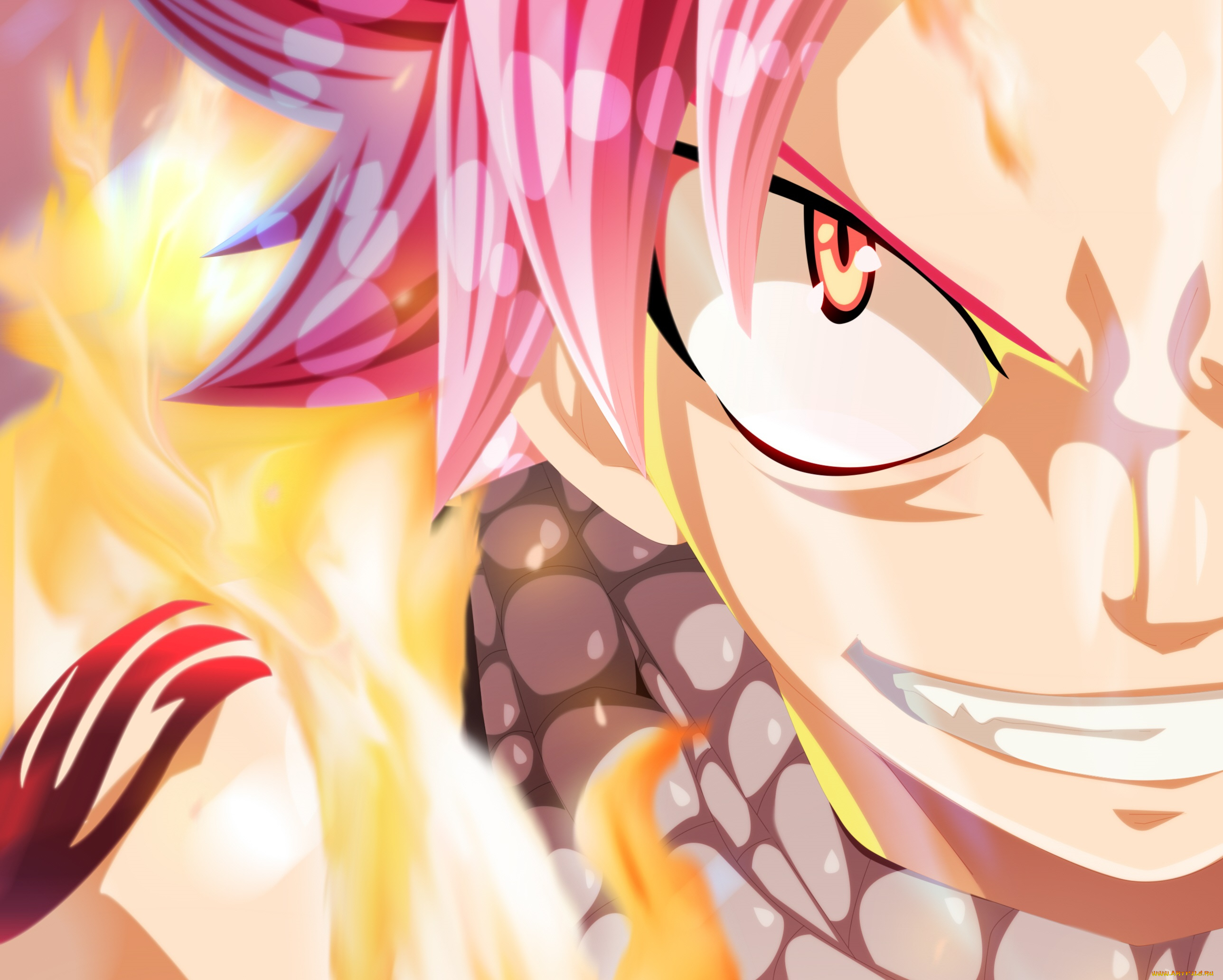 аниме, fairy, tail, хвост, феи