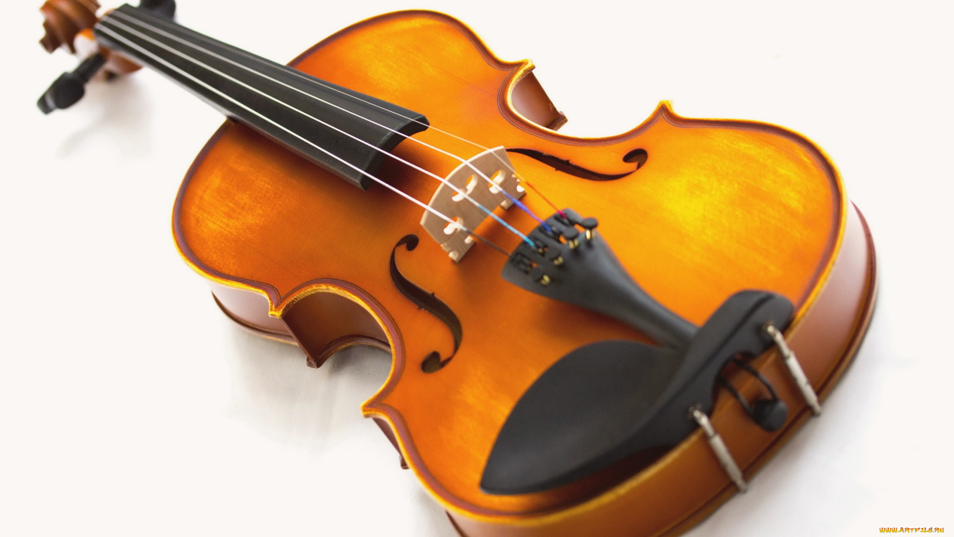 музыка, -музыкальные, инструменты, скрипка