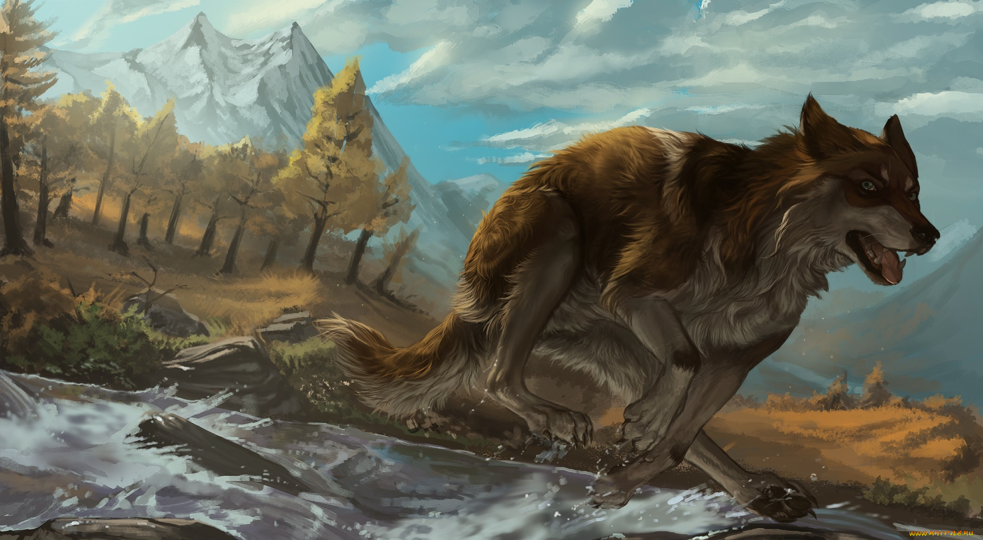 рисованное, животные, , собаки, фон, взгляд, собака