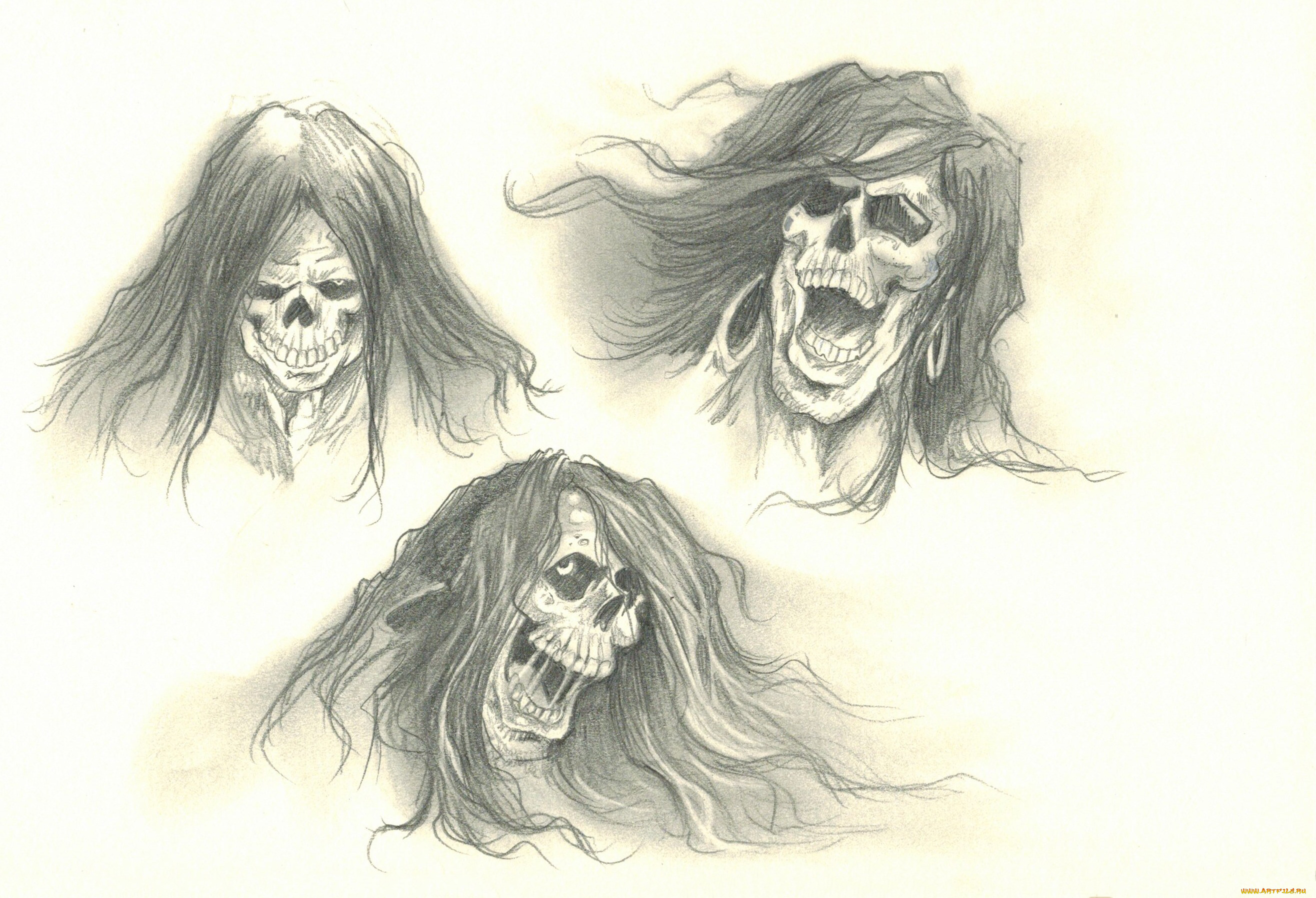 разное, арты, взгляд, череп, фон, оскал