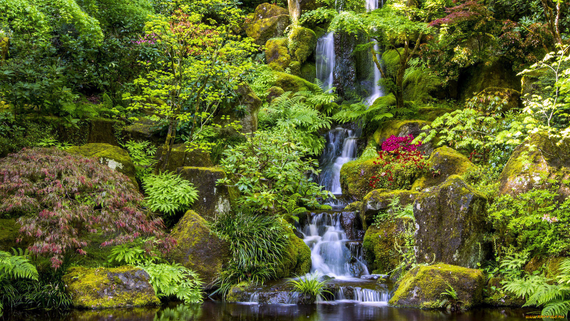japanese, garden, portland, maine, usa, природа, парк, japanese, garden