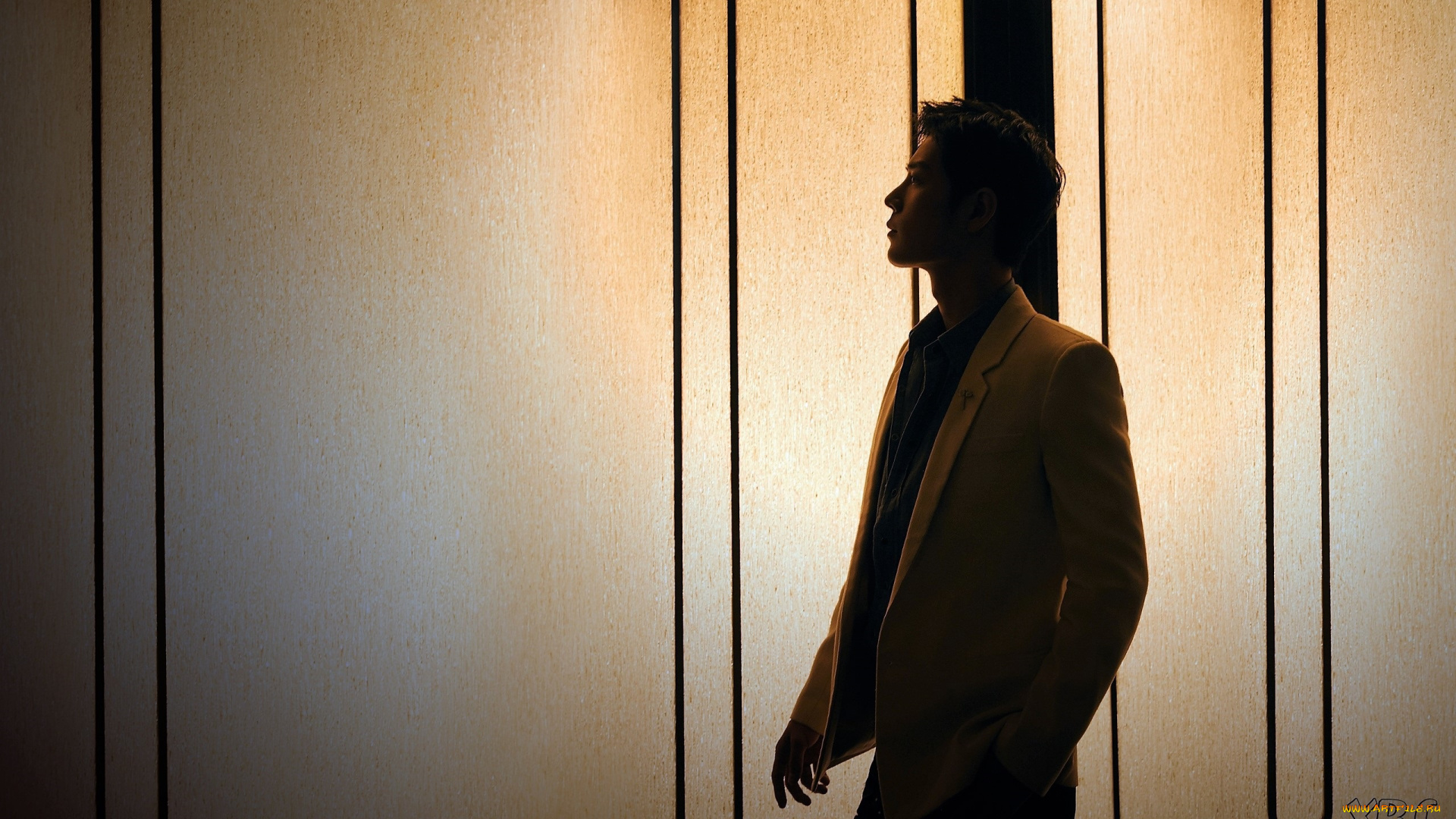 мужчины, xiao, zhan, актер, пиджак