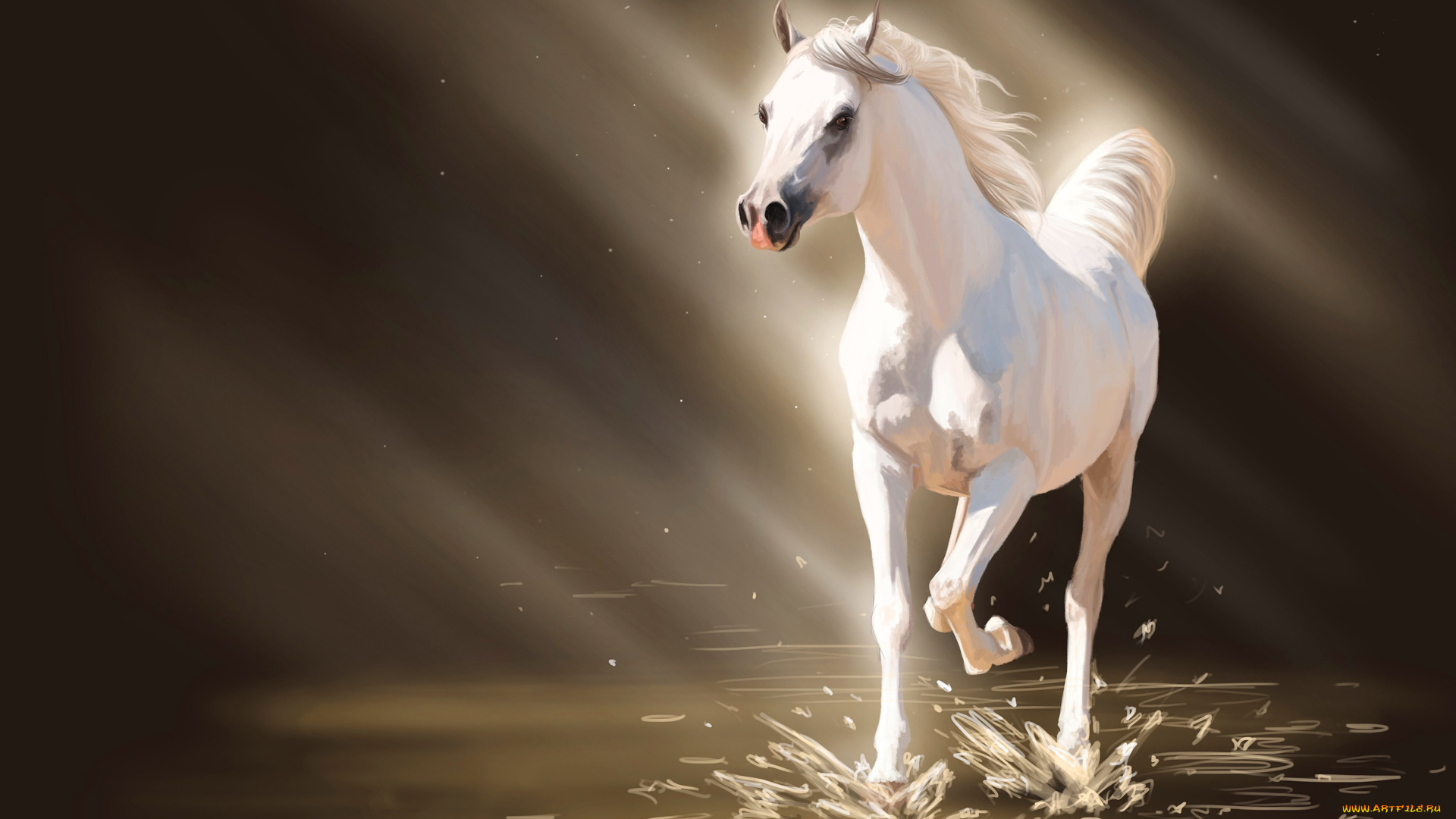рисованное, животные, , лошади, лошадь, белая, брызги