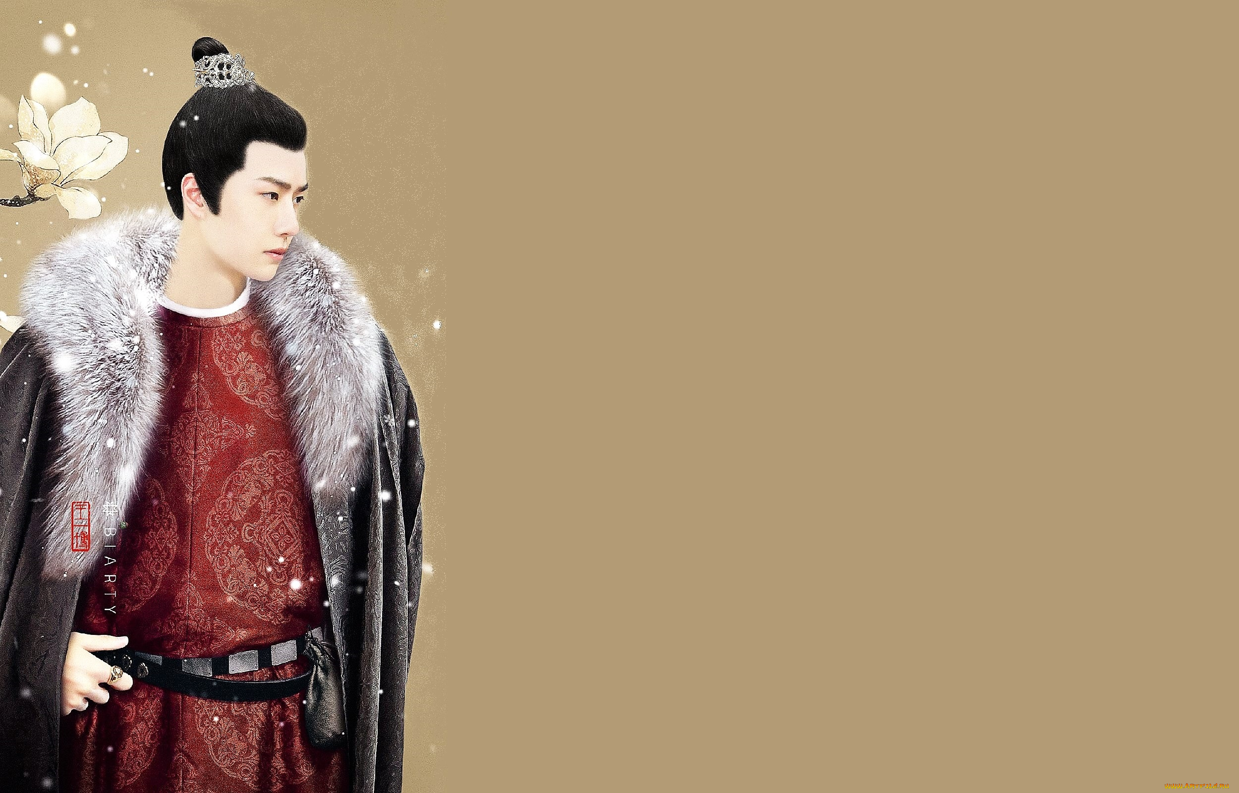 рисованное, кино, , мультфильмы, ван, ибо, костюм, актер