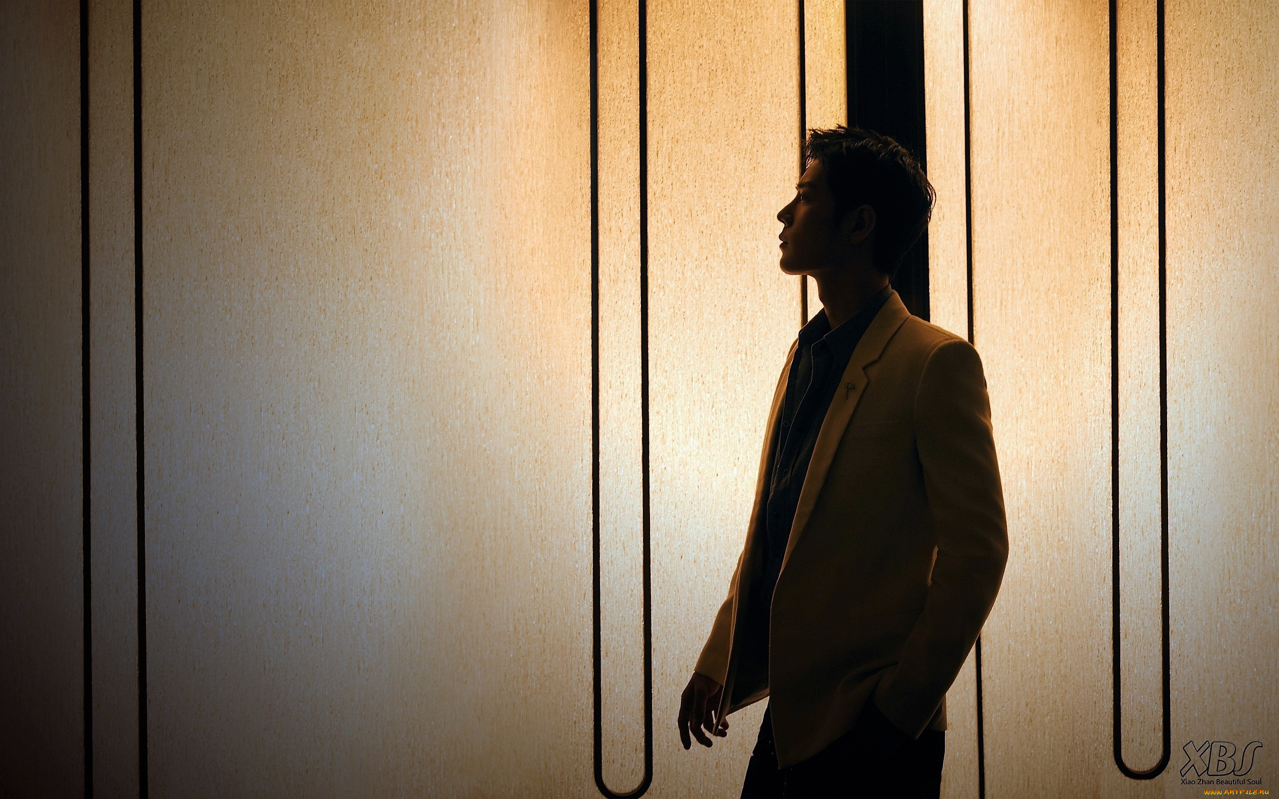 мужчины, xiao, zhan, актер, пиджак