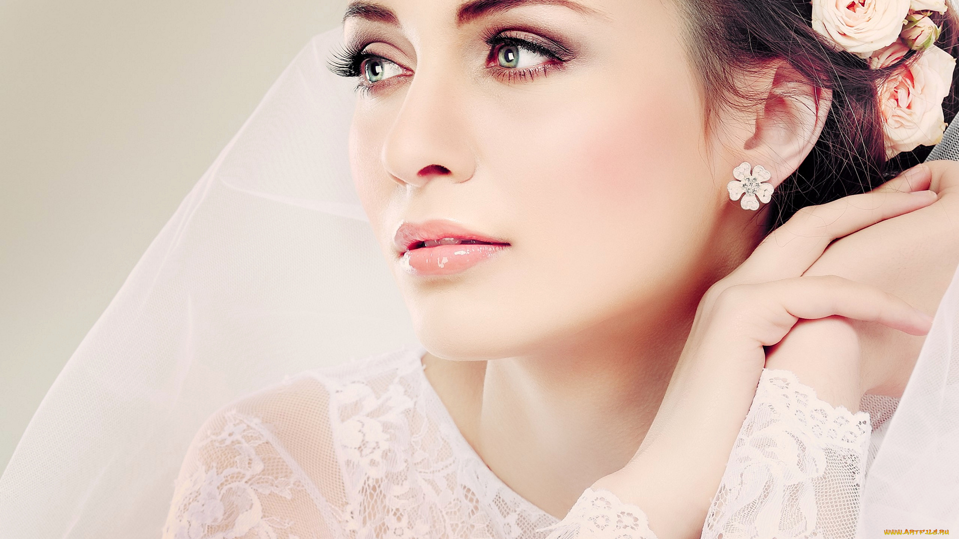 девушки, -, невесты, невеста