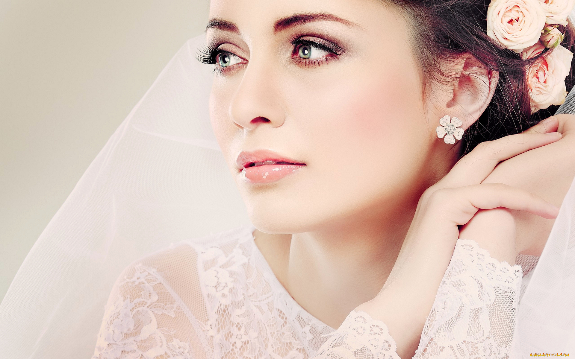 девушки, -, невесты, невеста