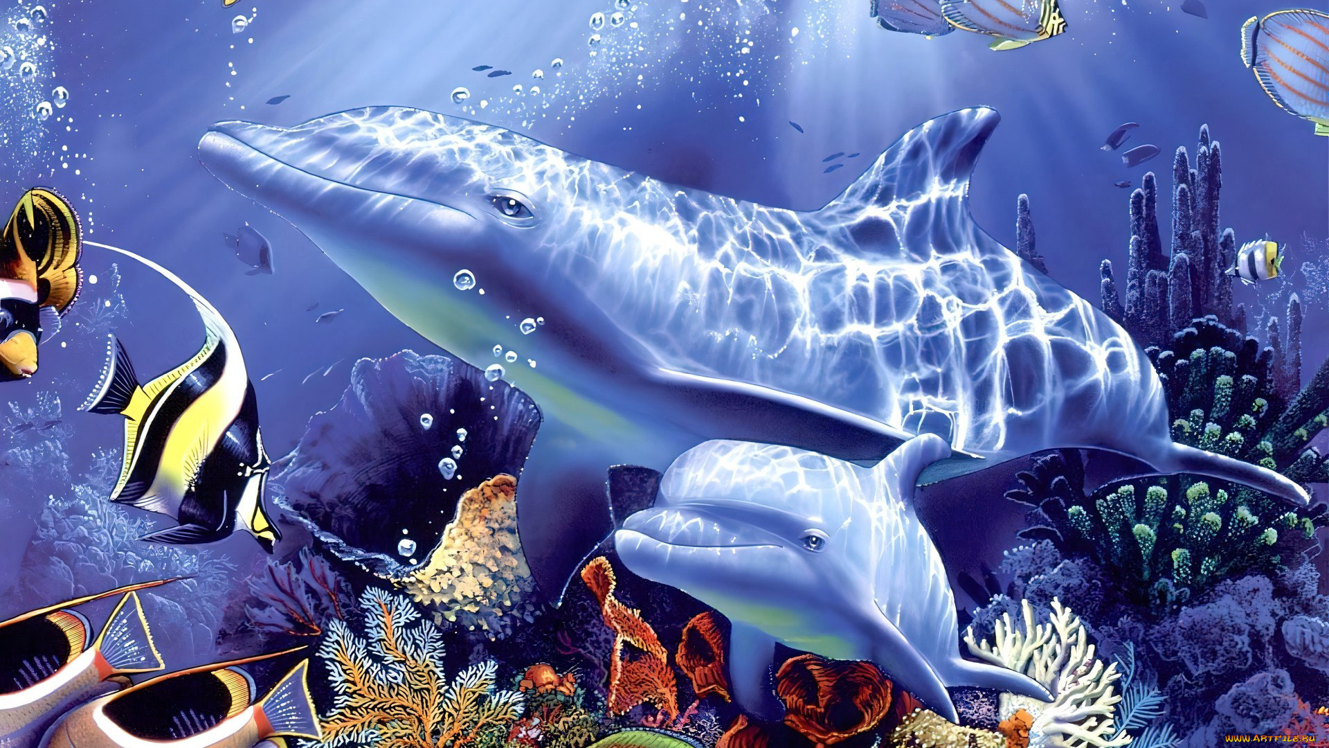 295259, рисованное, животные, , дельфины, морские, обитатели