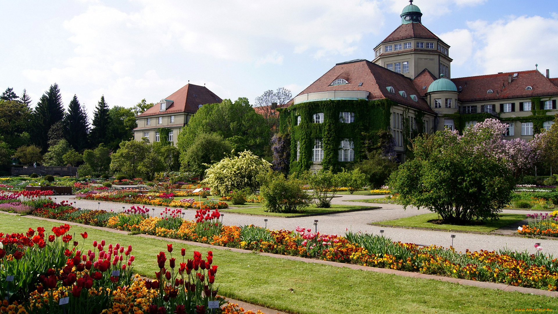 города, мюнхен, , германия, здания, деревья, клумбы, цветы