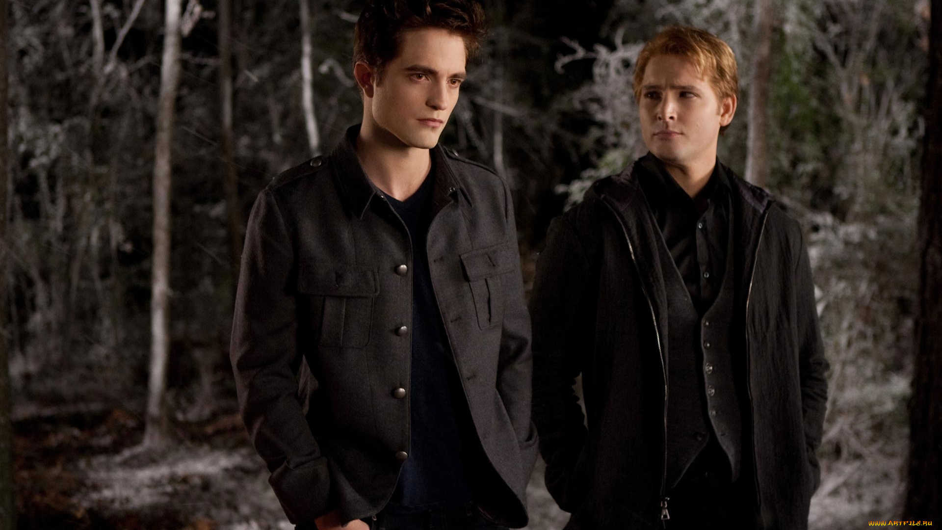 кино, фильмы, the, twilight, saga, , breaking, dawn, part, 2, вампирская, сага