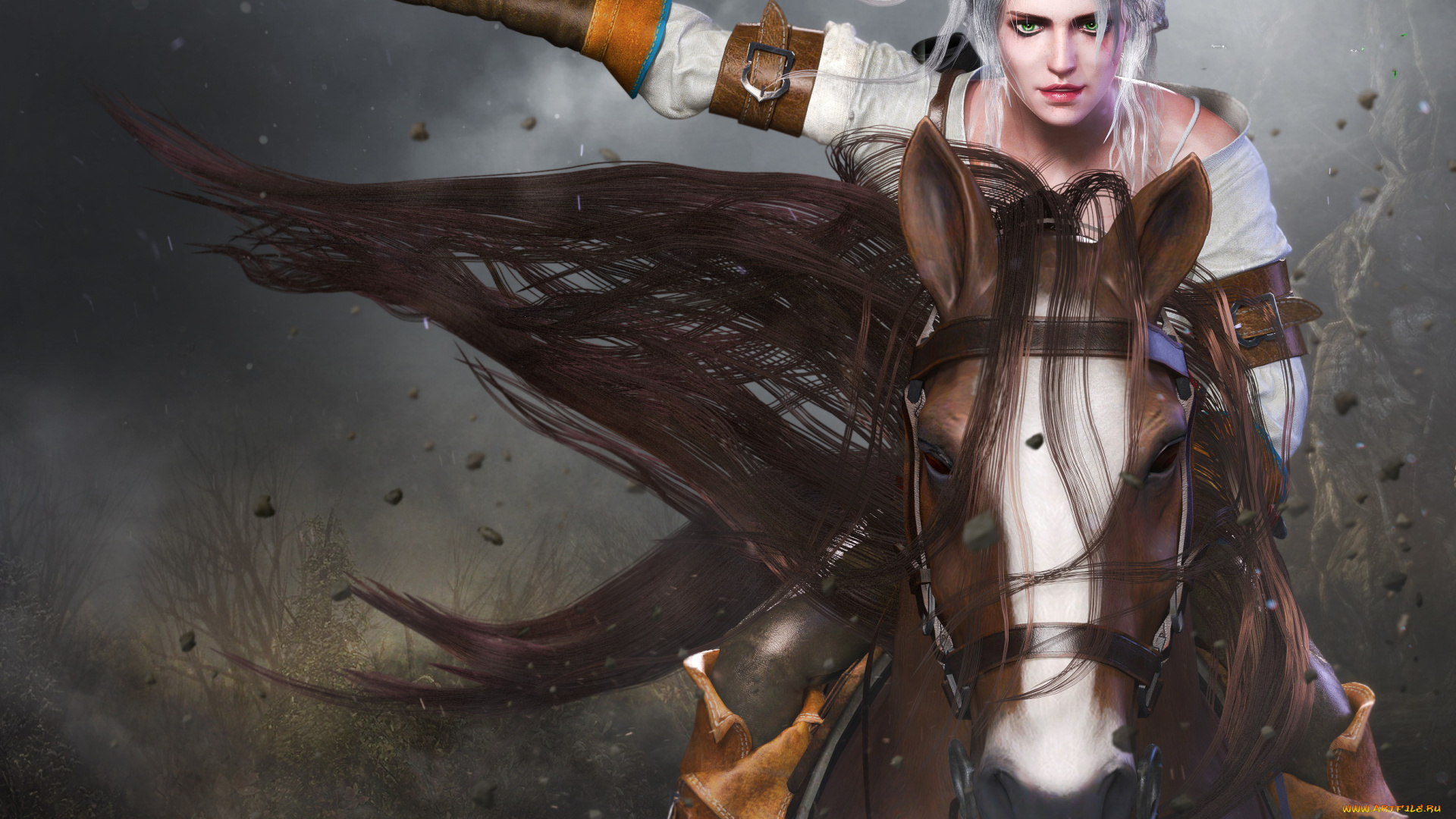 видео, игры, the, witcher, 3, , wild, hunt, девушка, фон, взгляд, мечь, конь