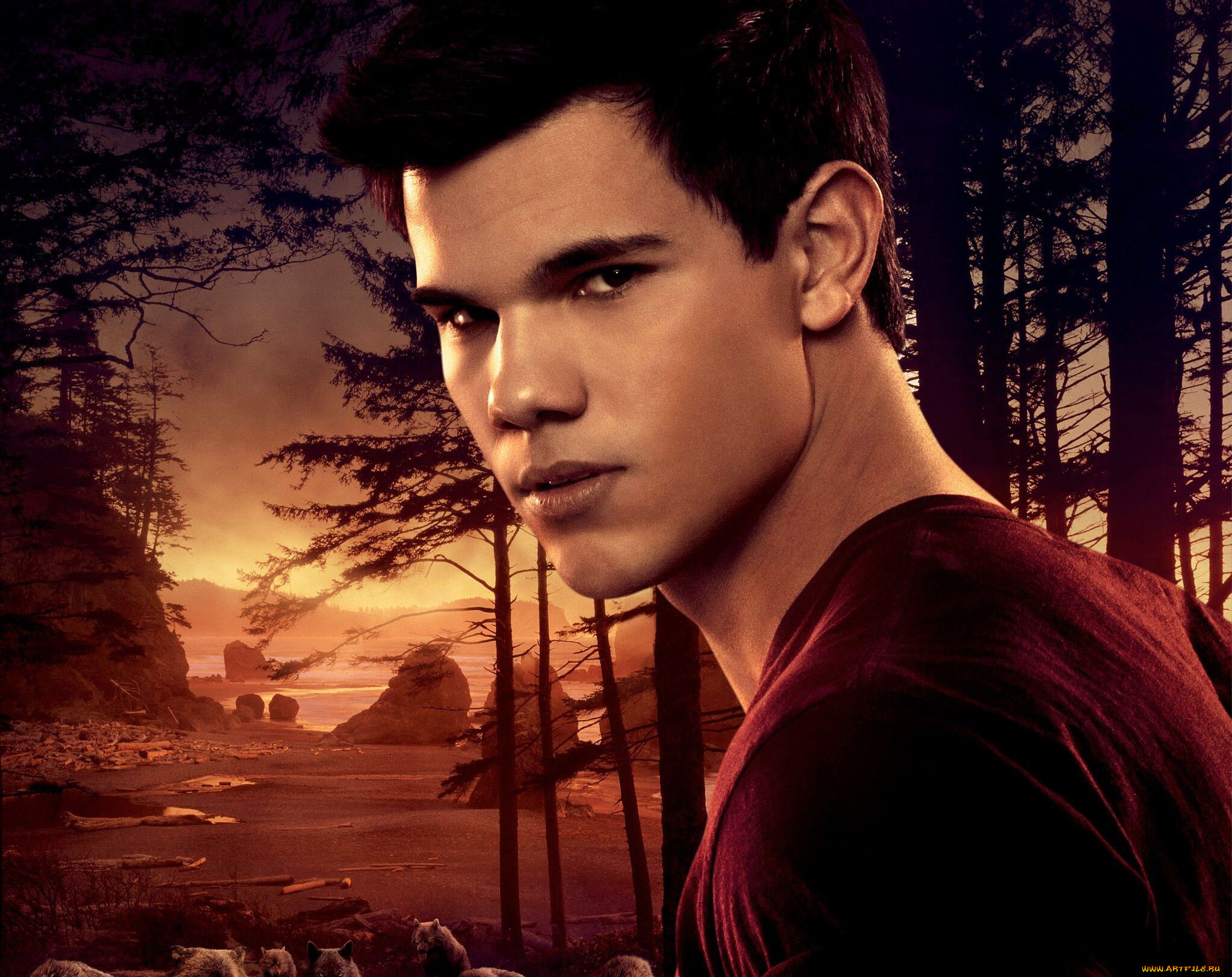 кино, фильмы, the, twilight, saga, , breaking, dawn, part, 1, оборотень, лес, горы