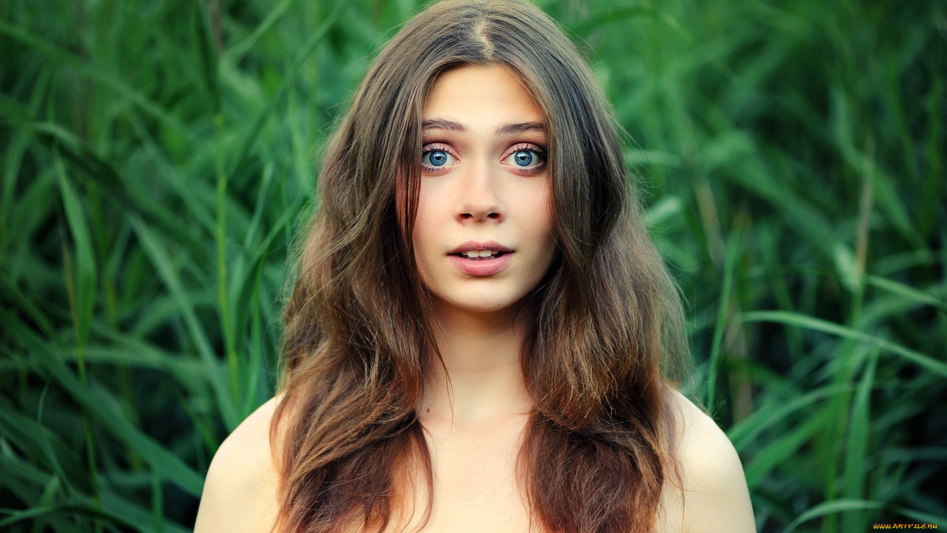 девушки, -, лица, , портреты, шатенка, лицо, камыши