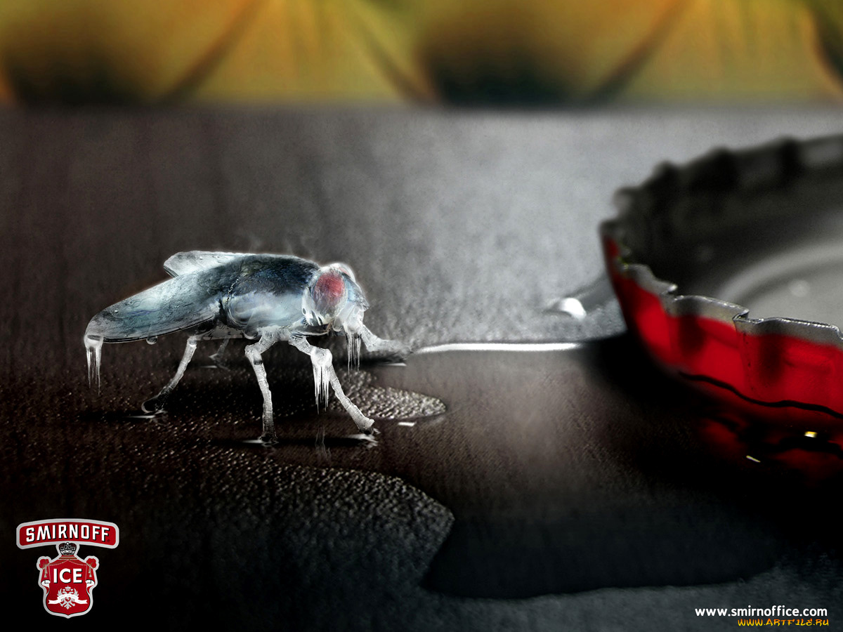 smirnoff, бренды