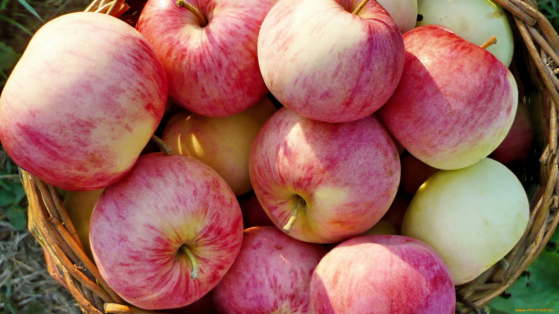 еда, Яблоки