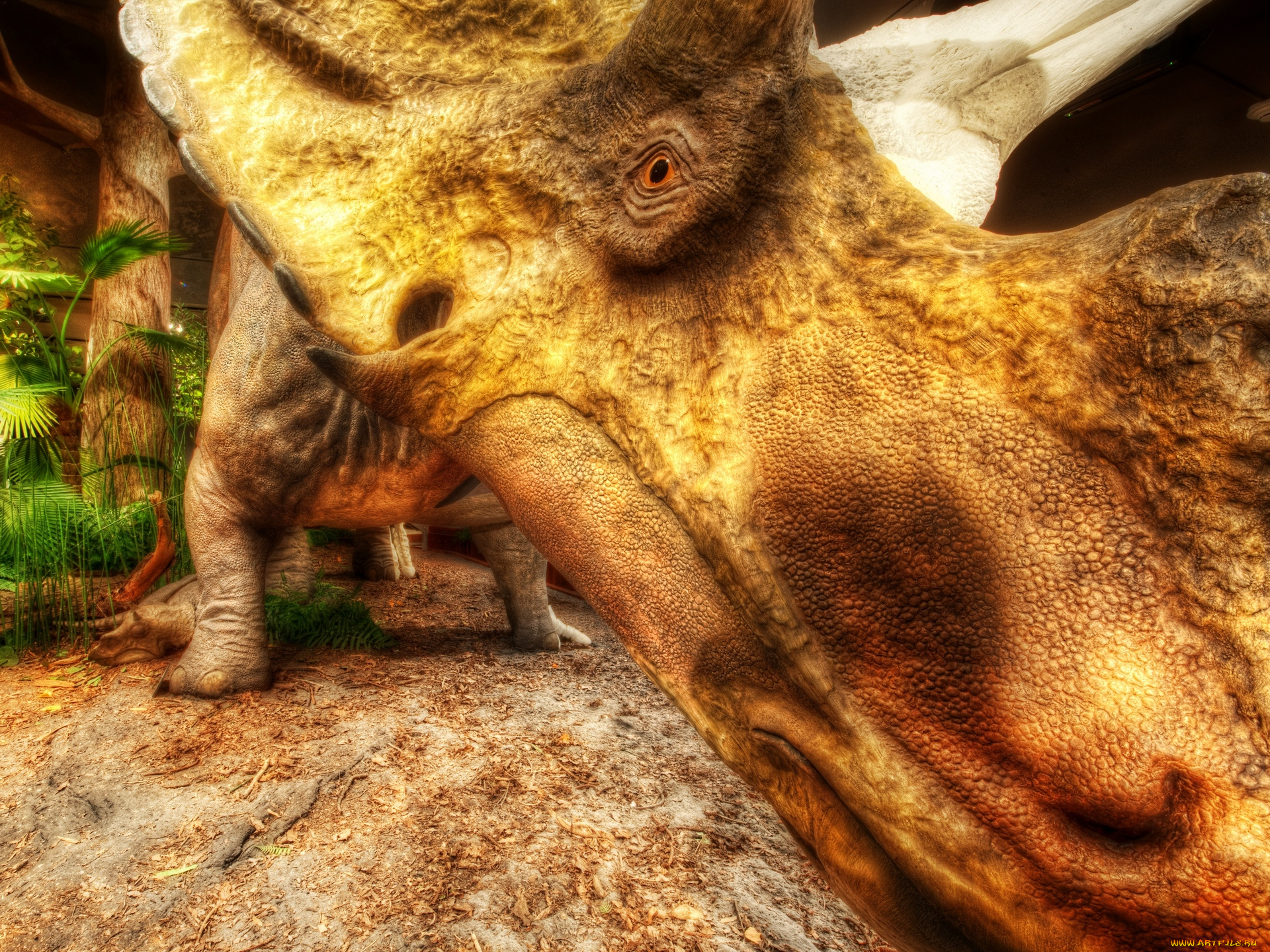 museum, of, the, rockies, разное, рельефы, статуи, музейные, экспонаты