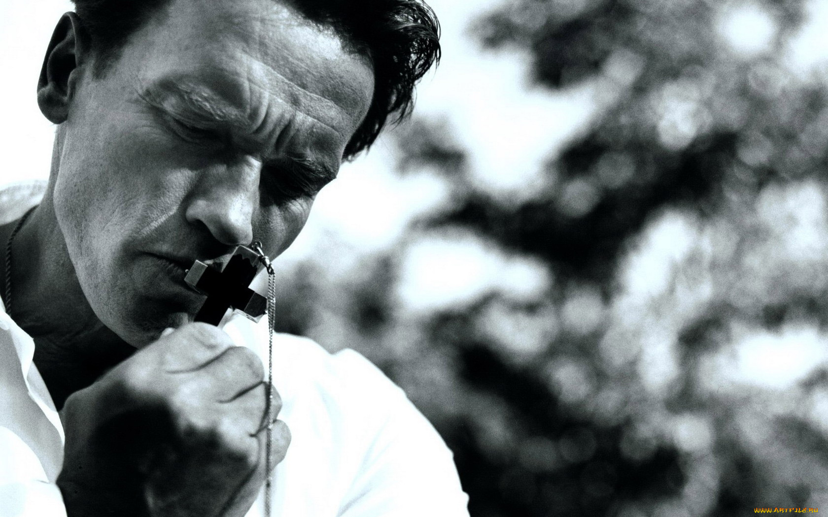 arnold, schwarzenegger, мужчины