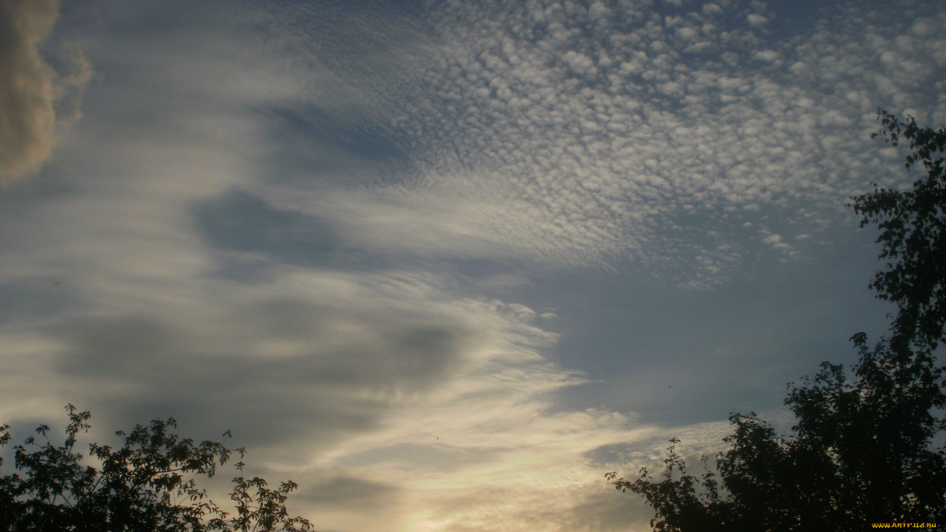 природа, облака, перистые