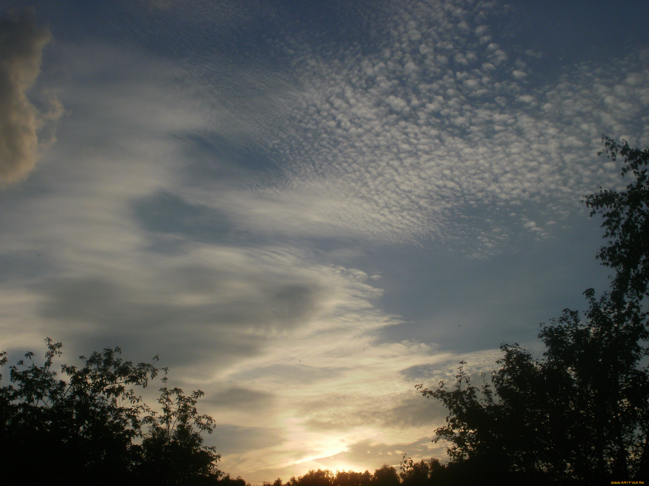 природа, облака, перистые