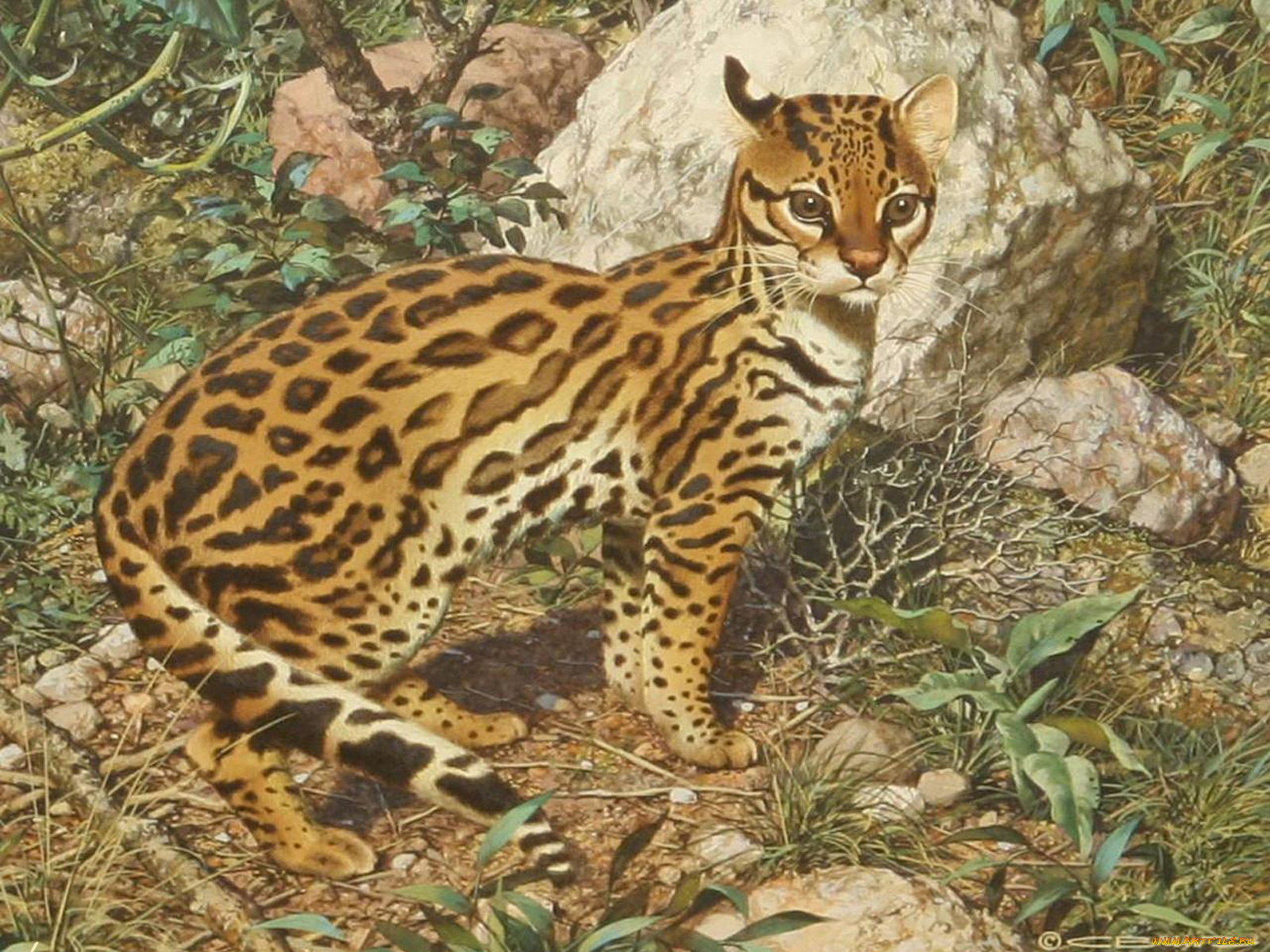 рисованные, carl, brenders