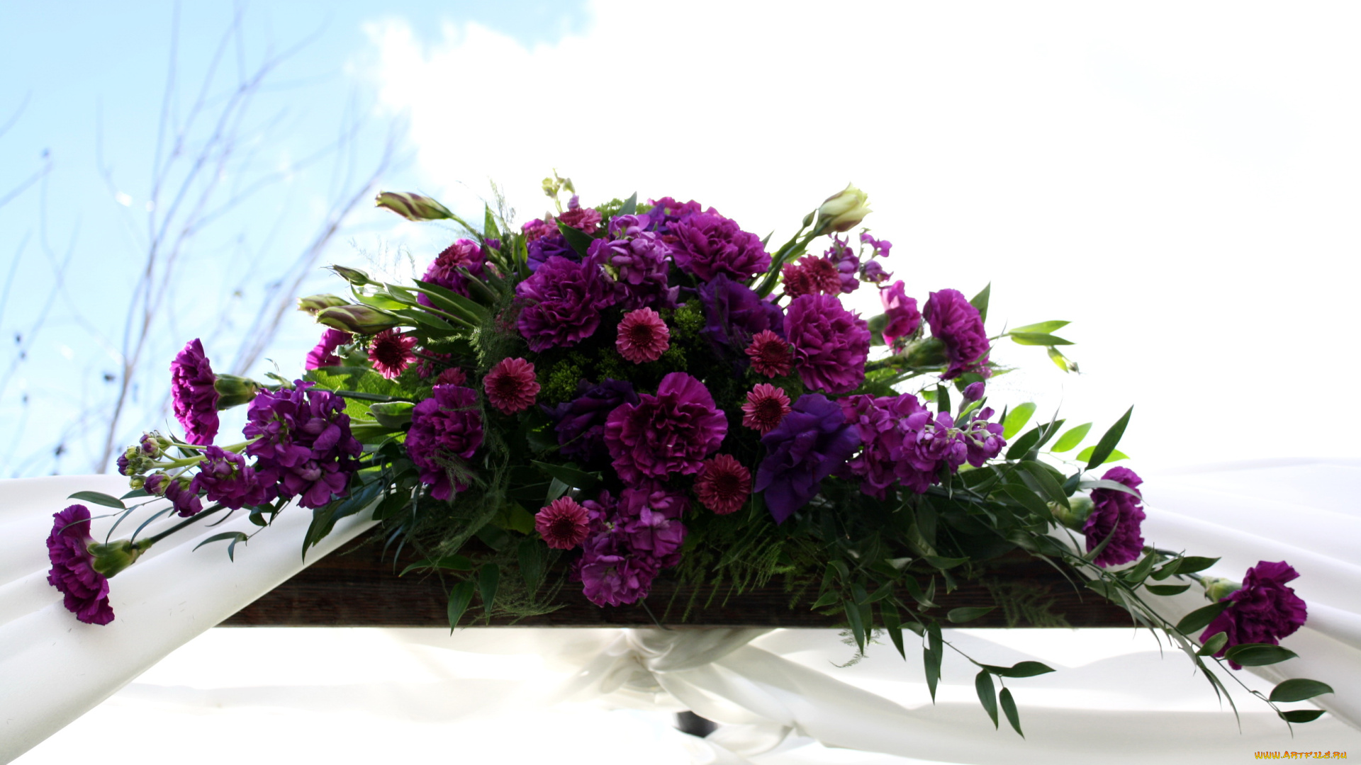 цветы, букеты, композиции, букет, георгины, розы, гвоздики