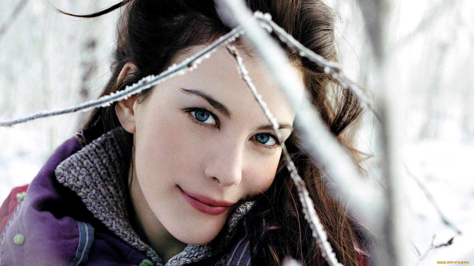 Liv, Tyler, девушки, звезда, актриса, голливуд